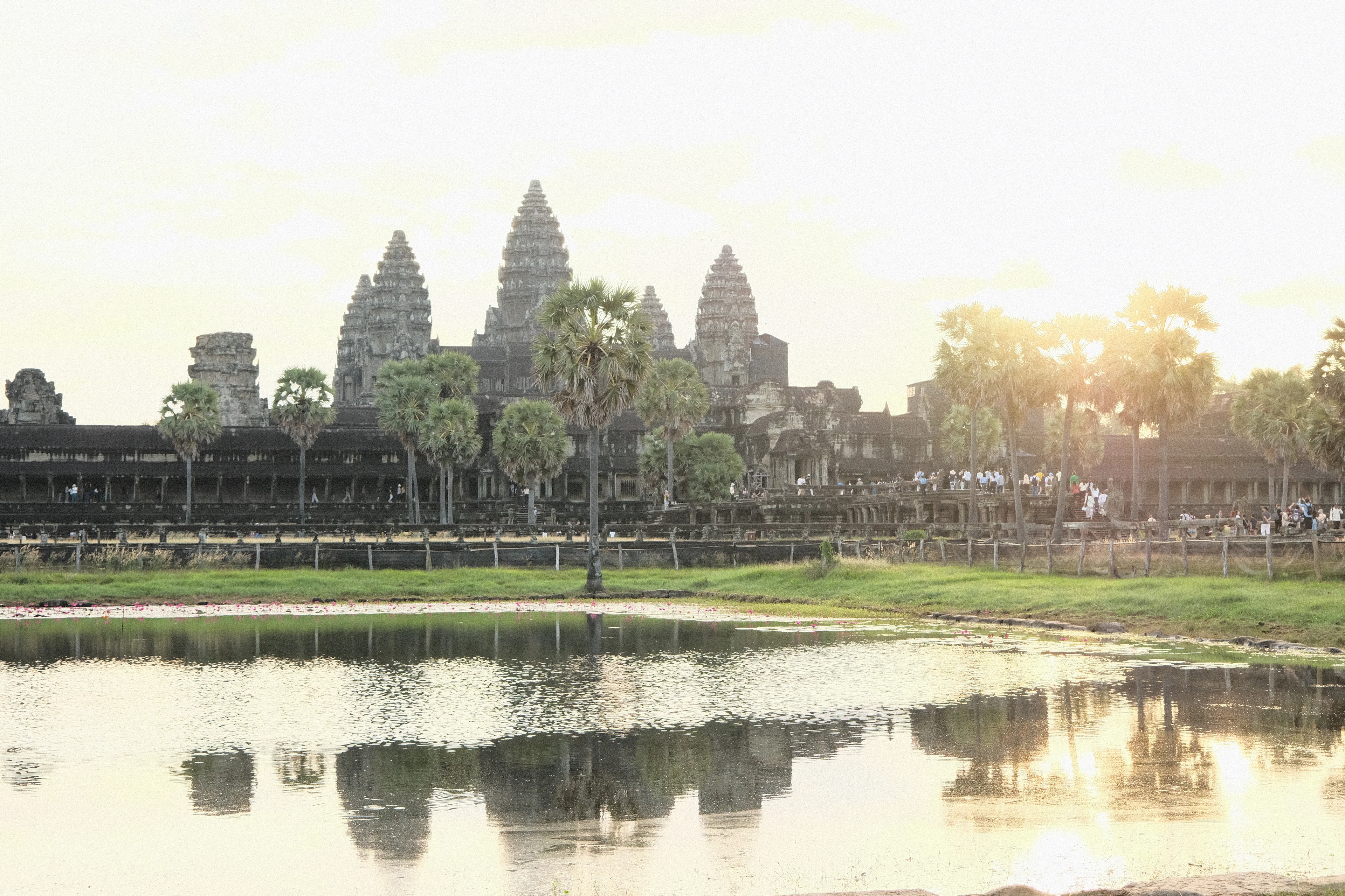 Angkor Wat's towers and palms reflected in the pond in early-morning light, Siem Reap, Cambodia