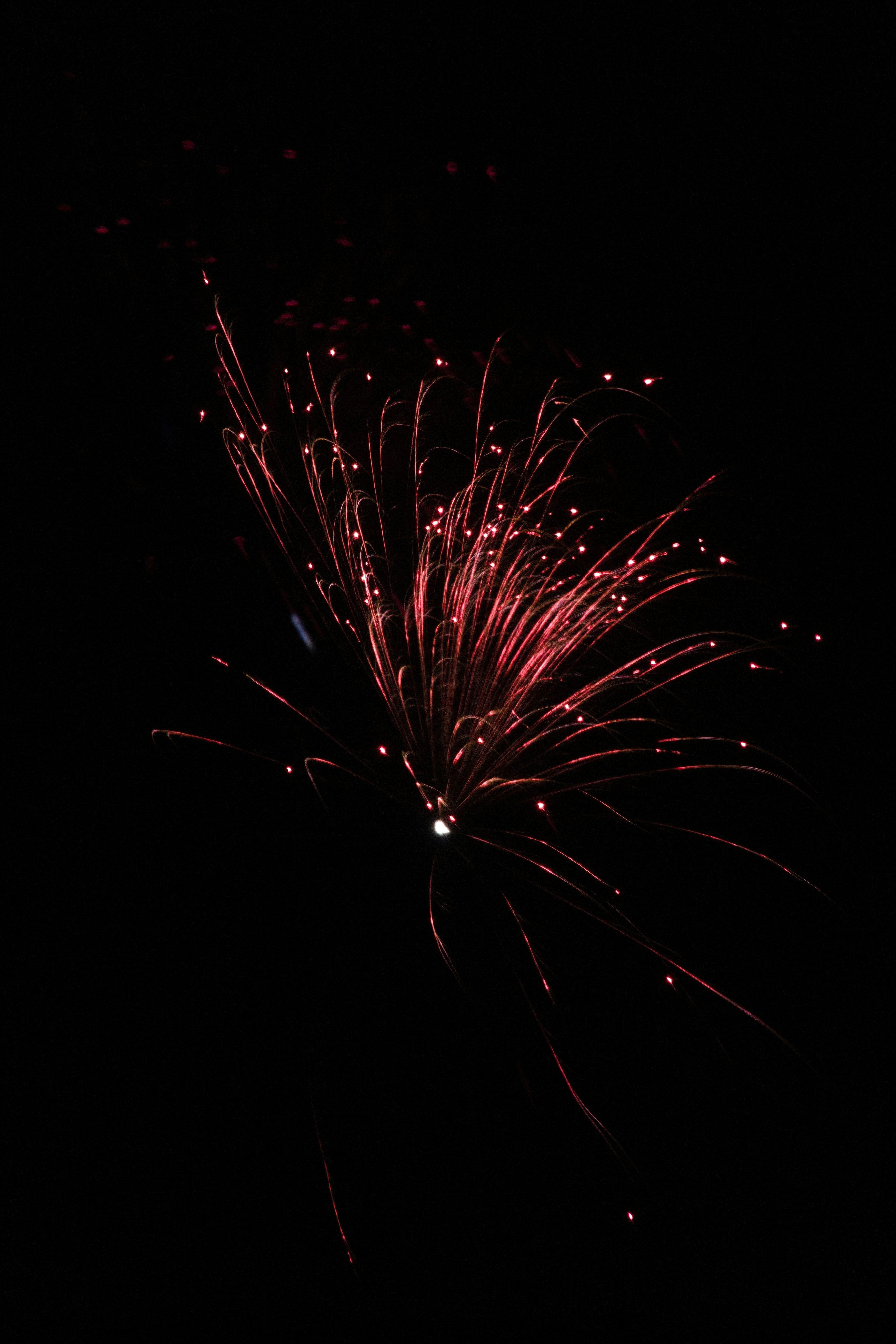 Photo by klarin_steffens