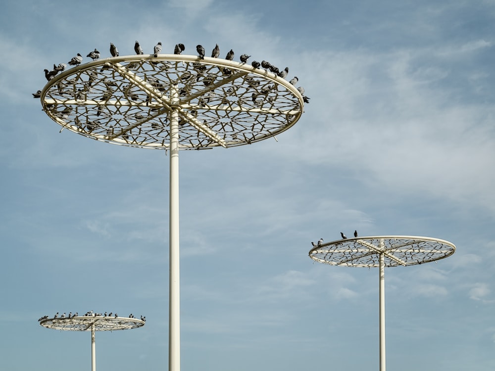 a group of birds sitting on top of a metal structure