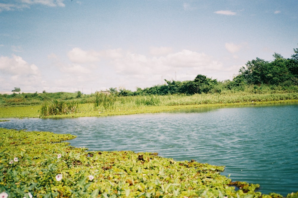 a body of water surrounded by a lush green field