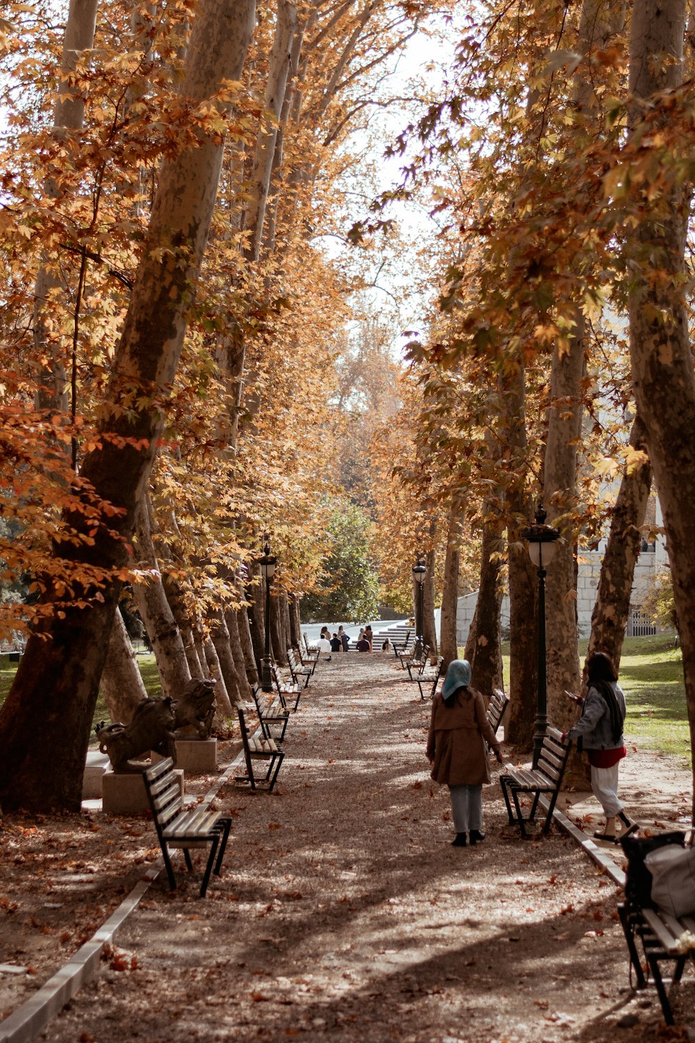 a couple of benches sitting next to each other in a park