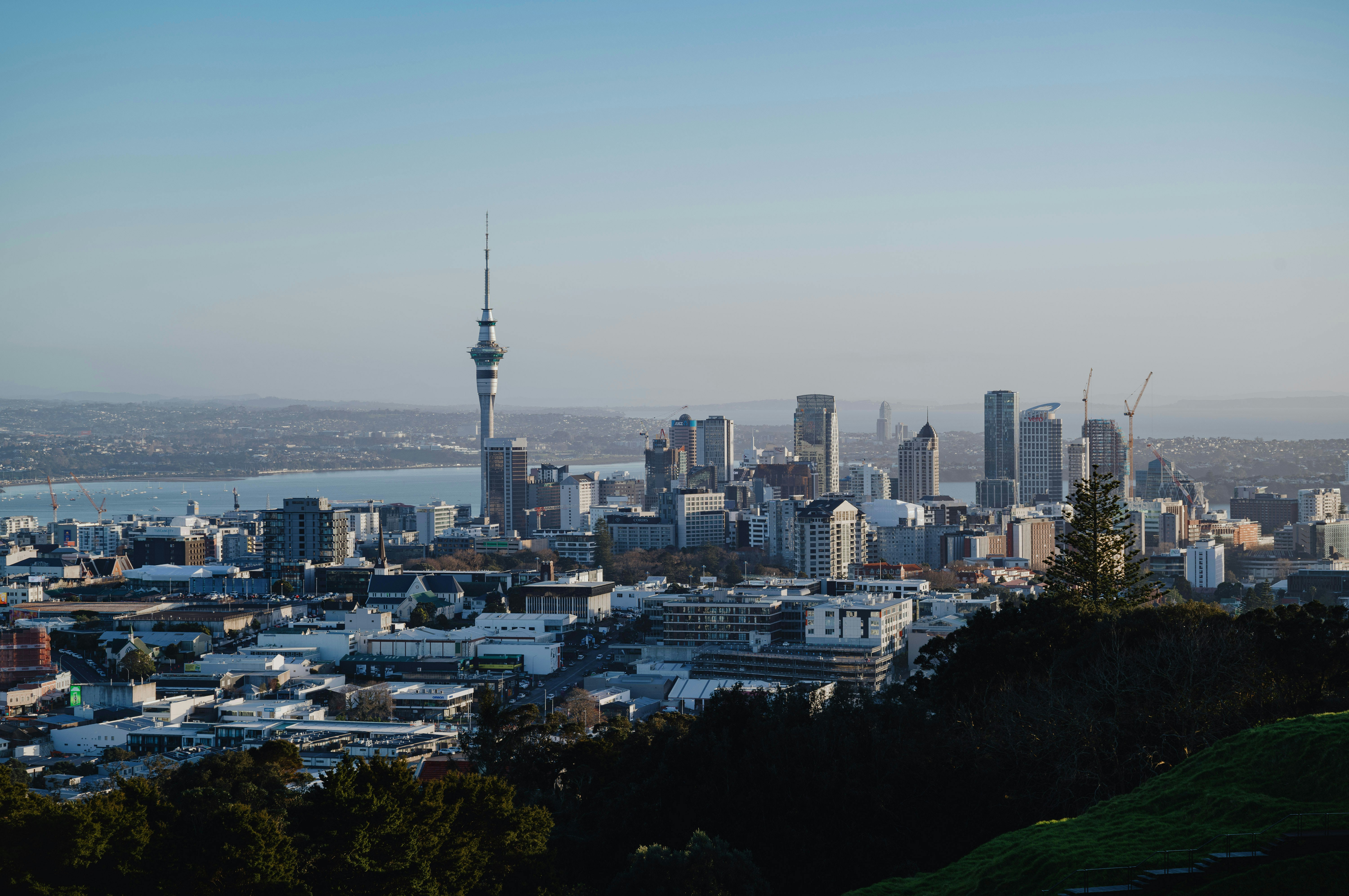 Image by Uran Wang via Unsplash