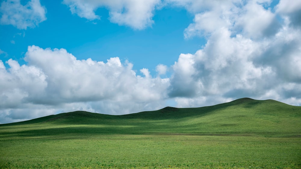 a grassy field with a hill in the background