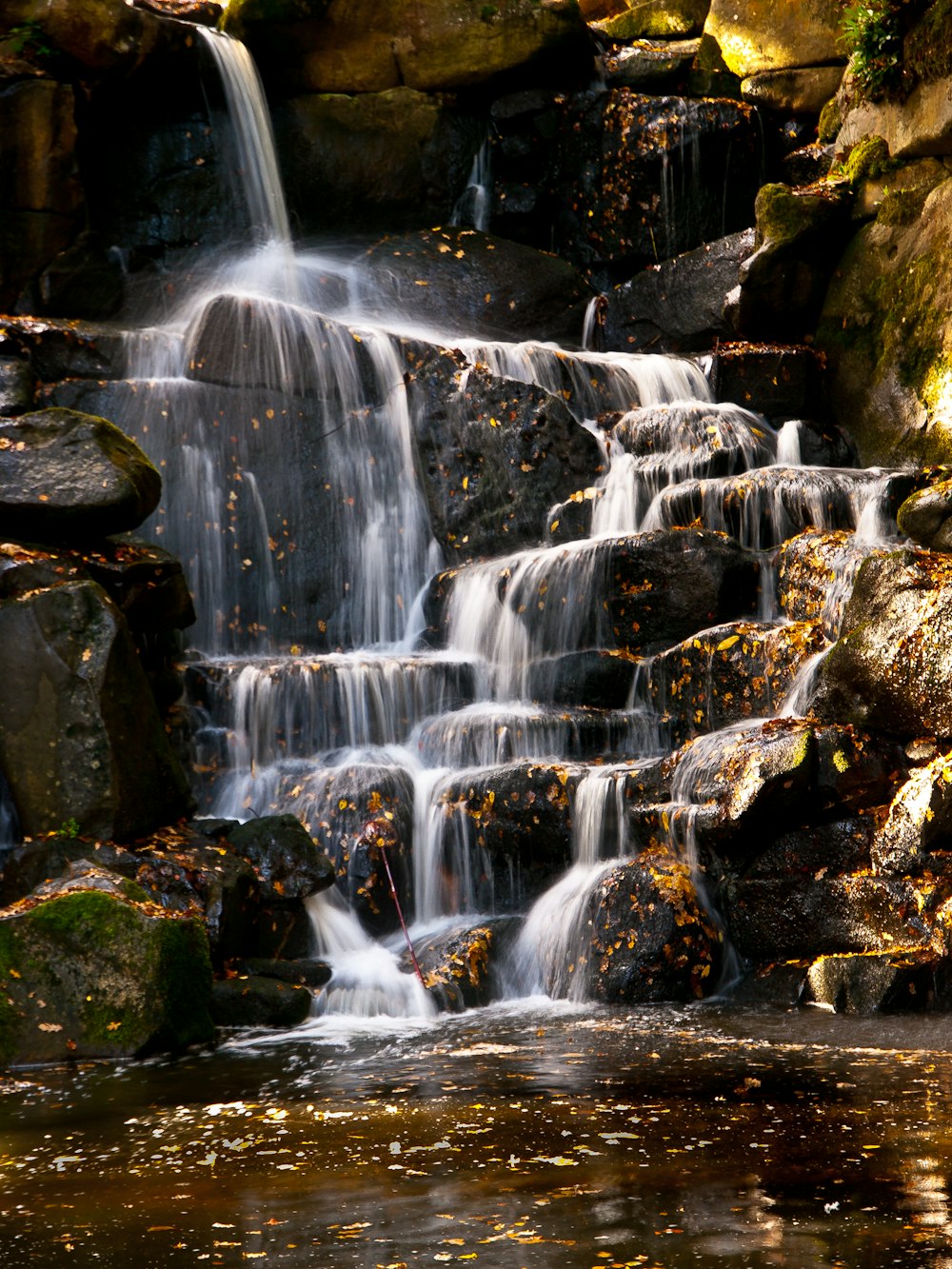 a small waterfall in the middle of a forest