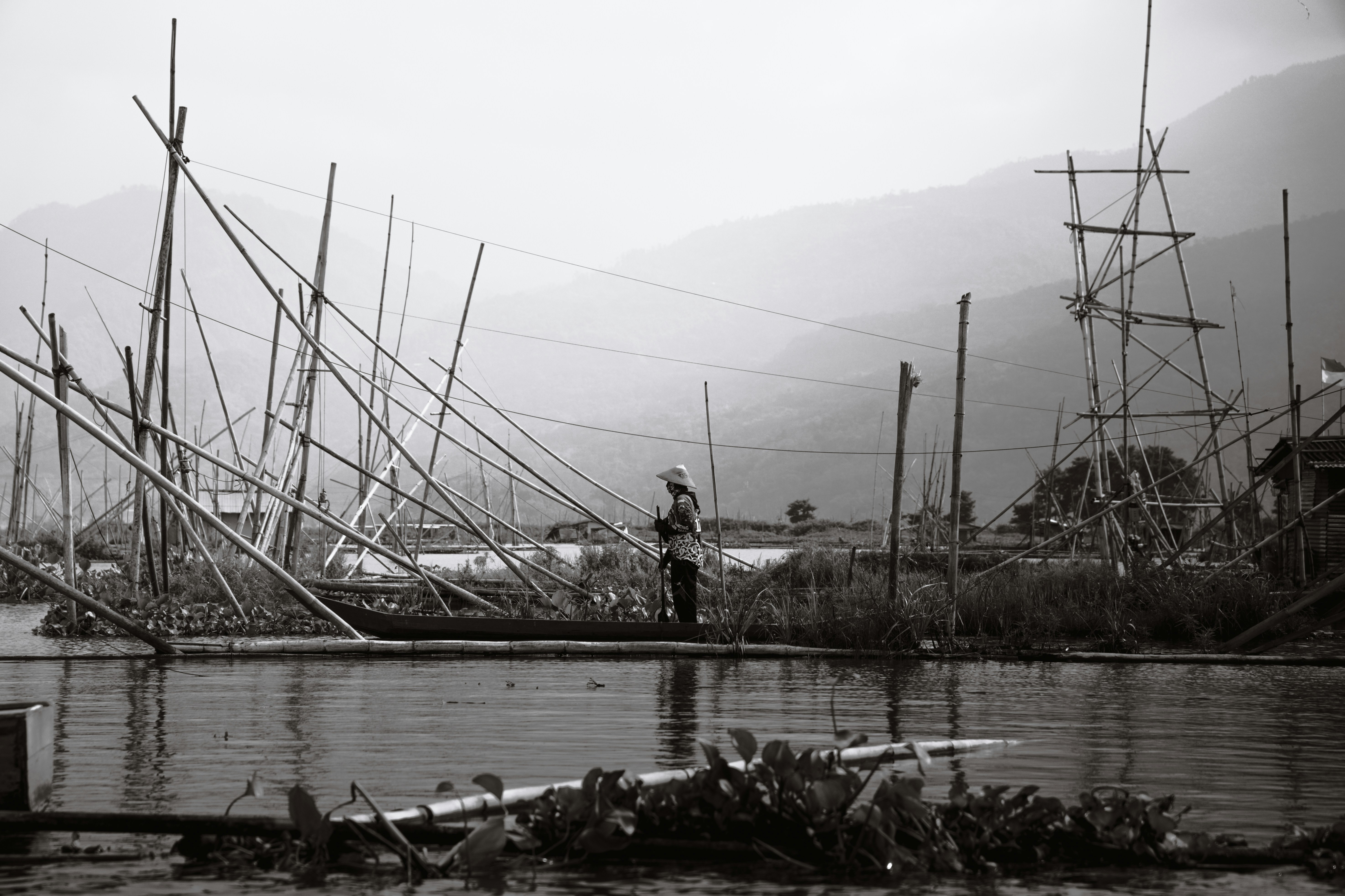 Photo by darrenbudiman