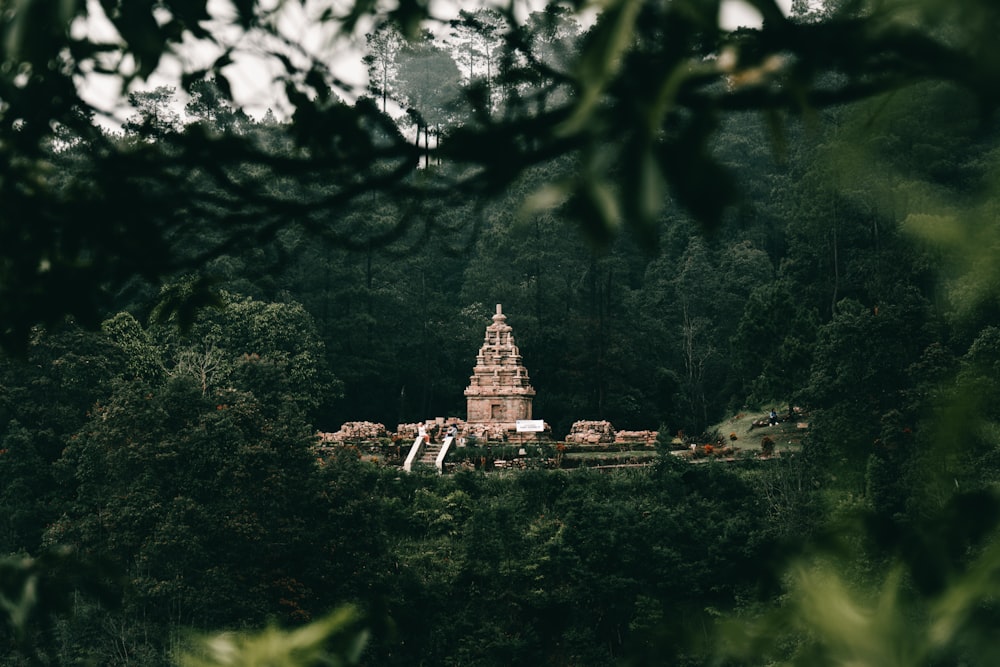 a very tall building sitting in the middle of a forest