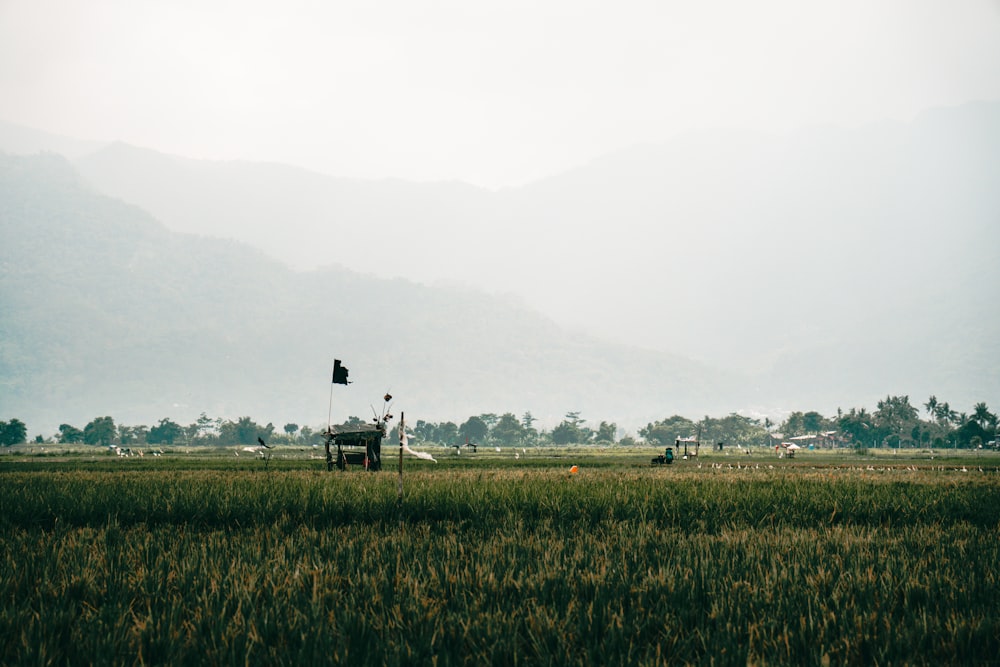 a field with a windmill in the middle of it