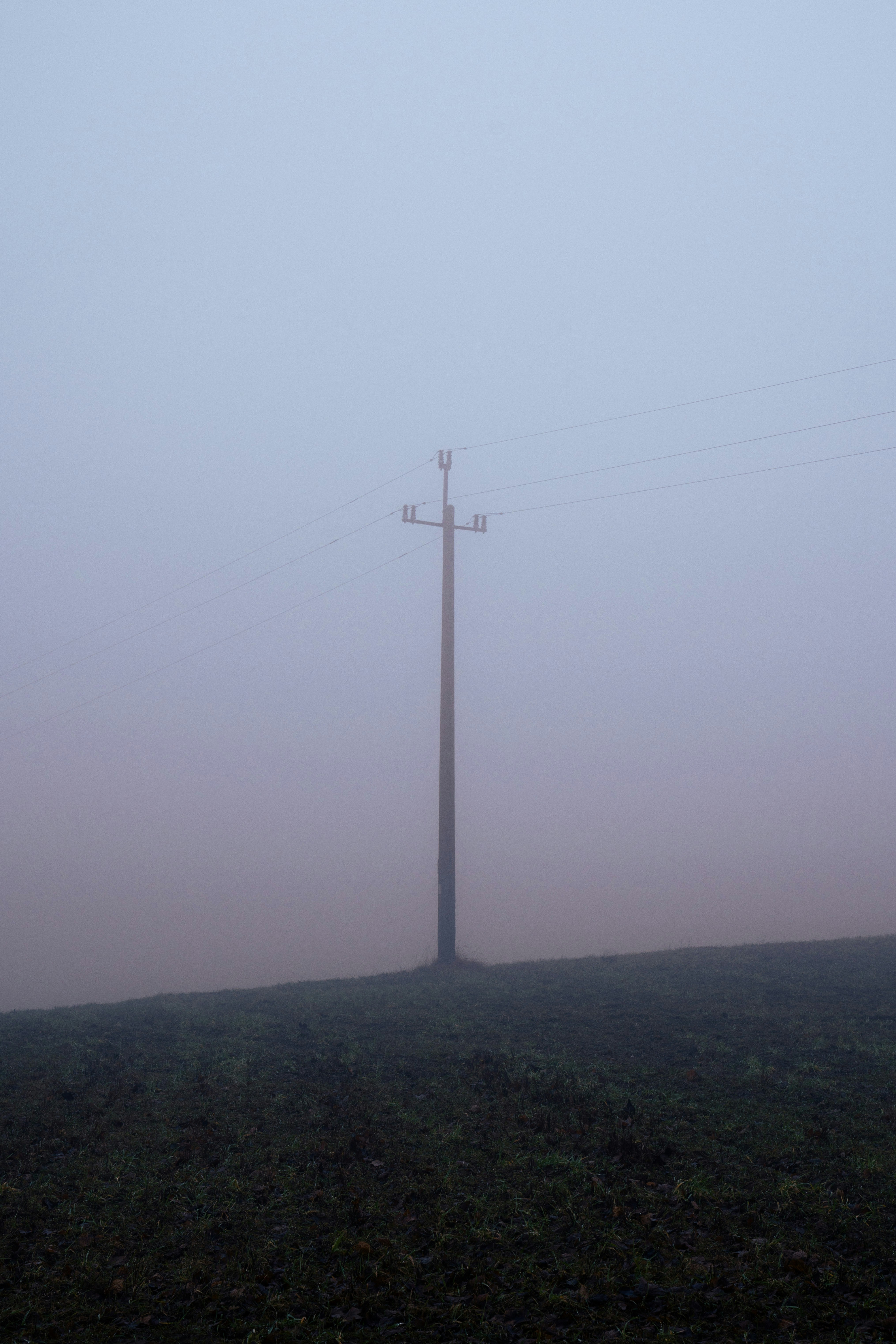 a telephone pole in the middle of a foggy field