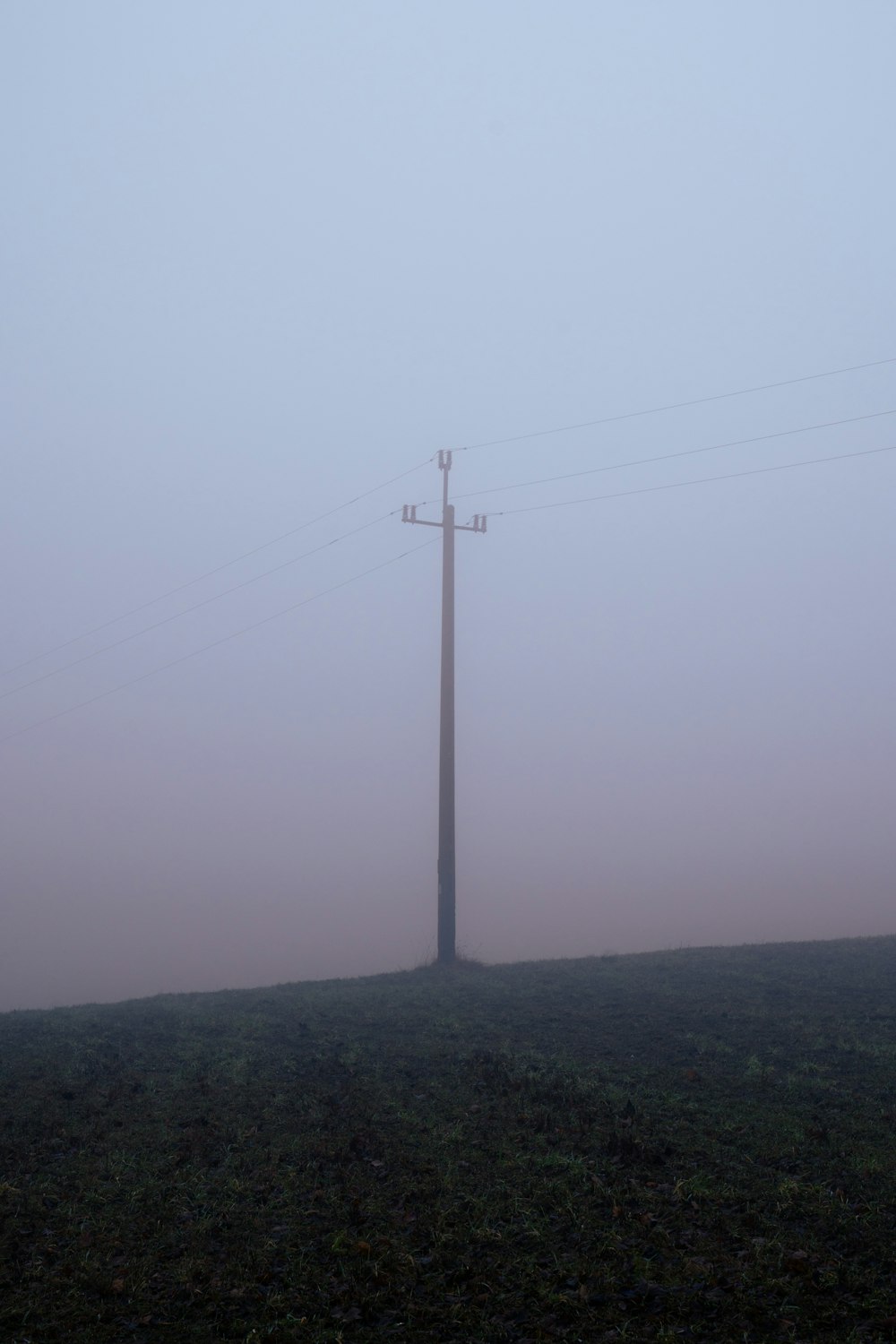 a telephone pole in the middle of a foggy field