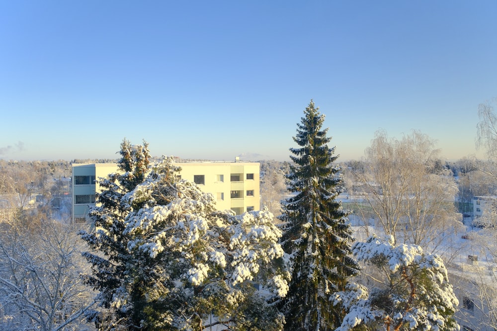 a building surrounded by trees covered in snow