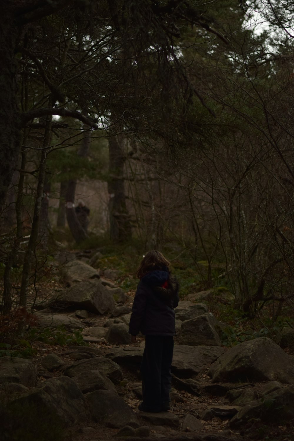 a person standing on a path in the woods