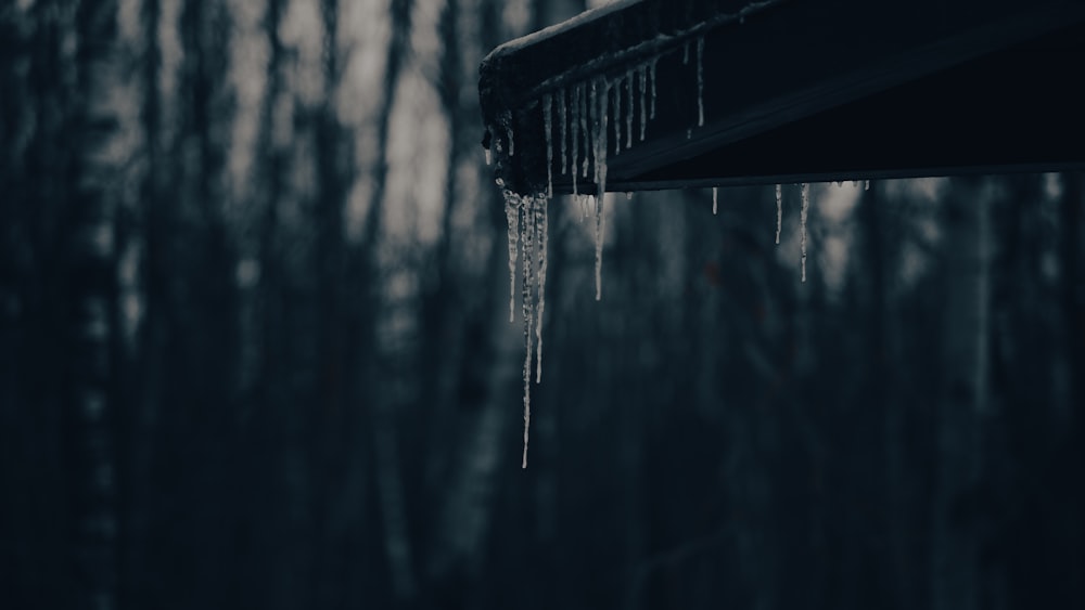 icicles hanging from a gutter gutter