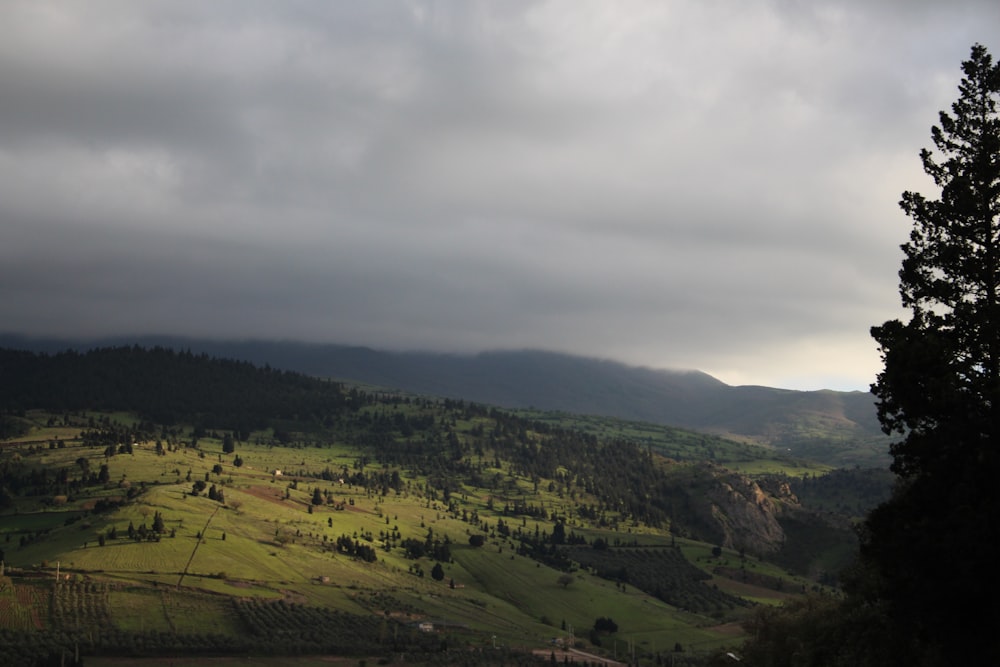 a view of a lush green hillside under a cloudy sky