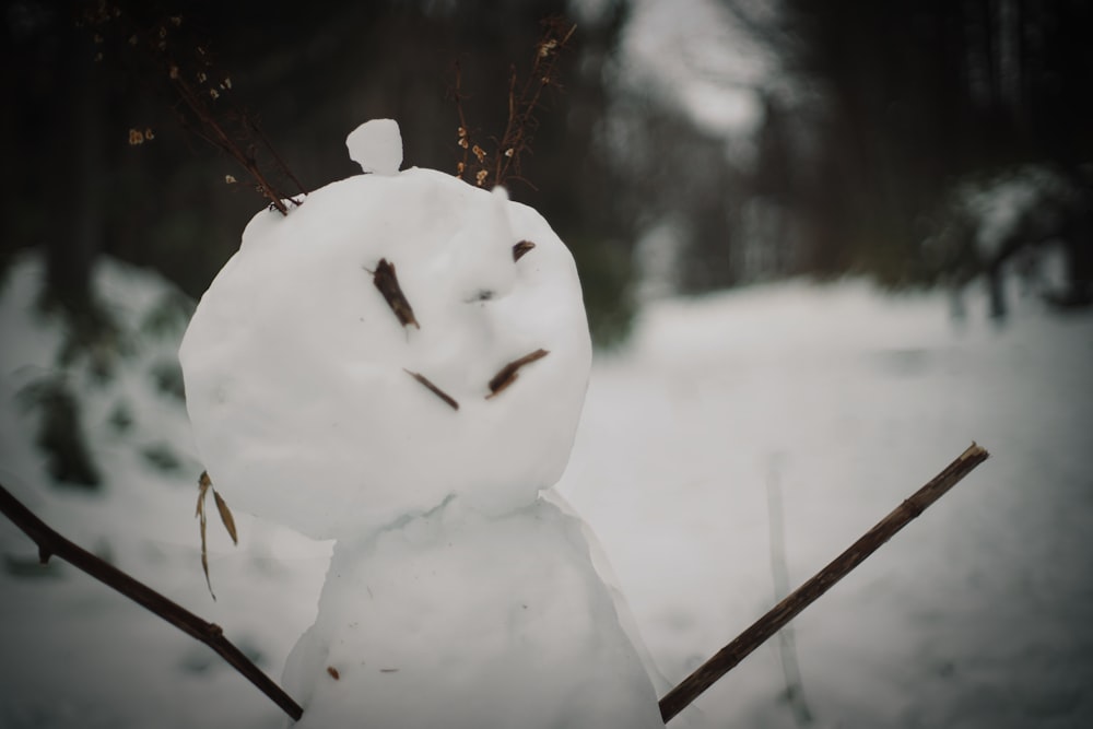 ein Schneemann, der im Schnee steht