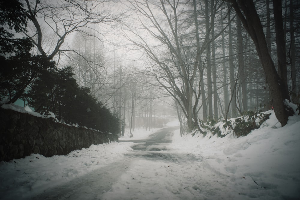 a snow covered road in a wooded area