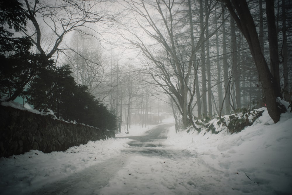 eine schneebedeckte Straße in einem Waldgebiet