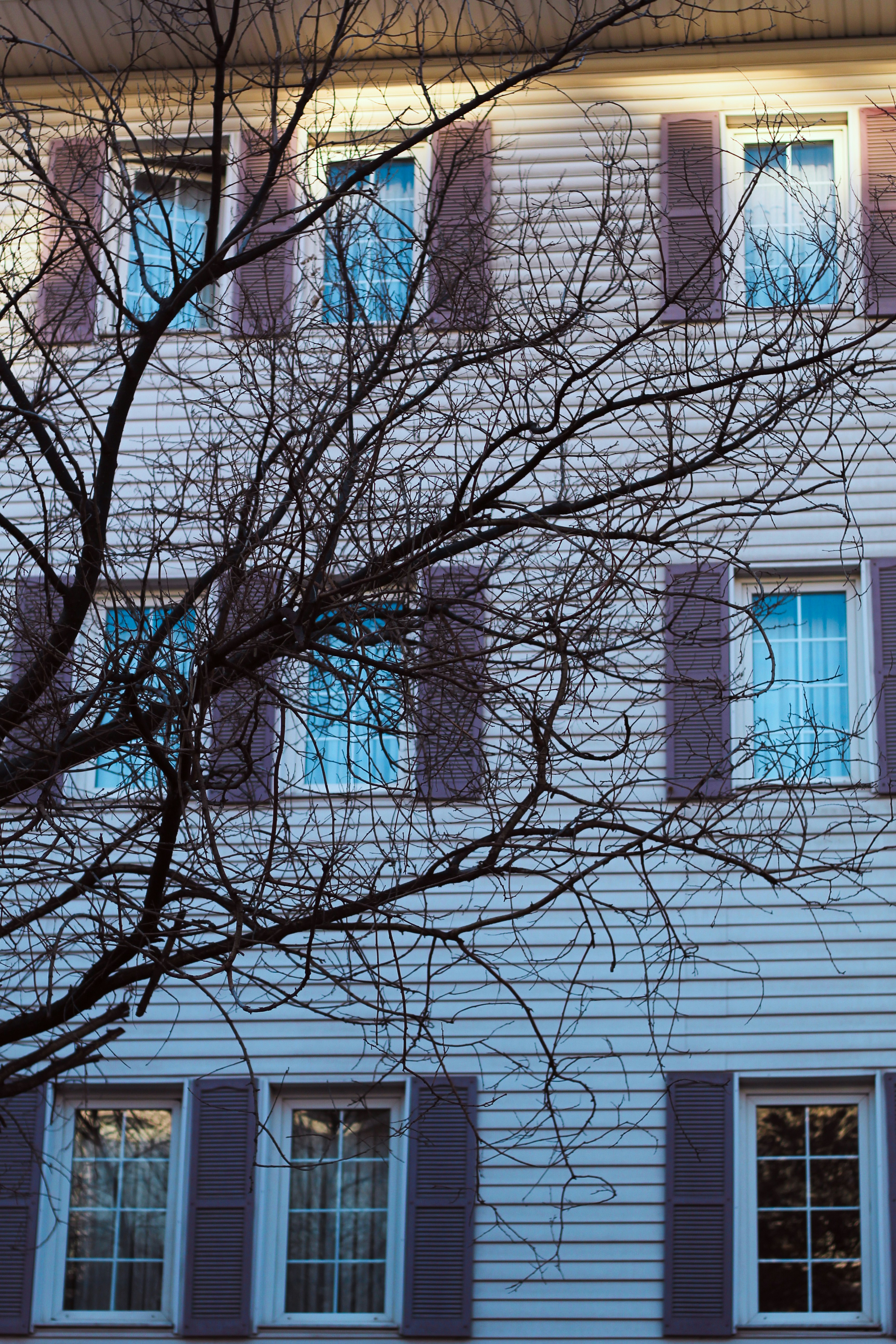 Photo by esrakorkmaz