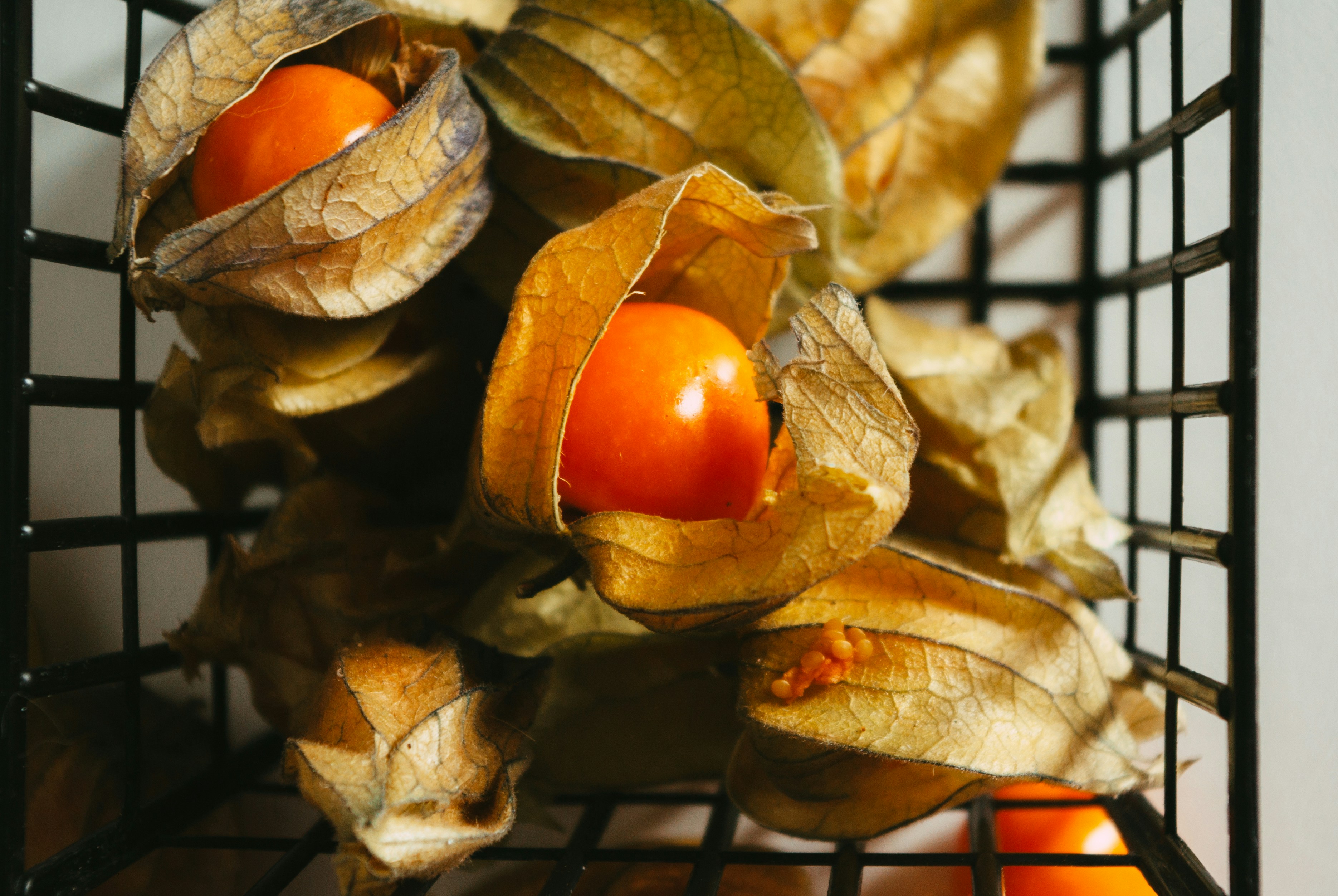 Photo by moonmoons_days