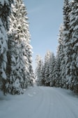 a person riding skis down a snow covered road