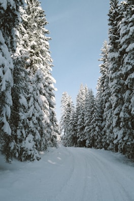 a person riding skis down a snow covered road