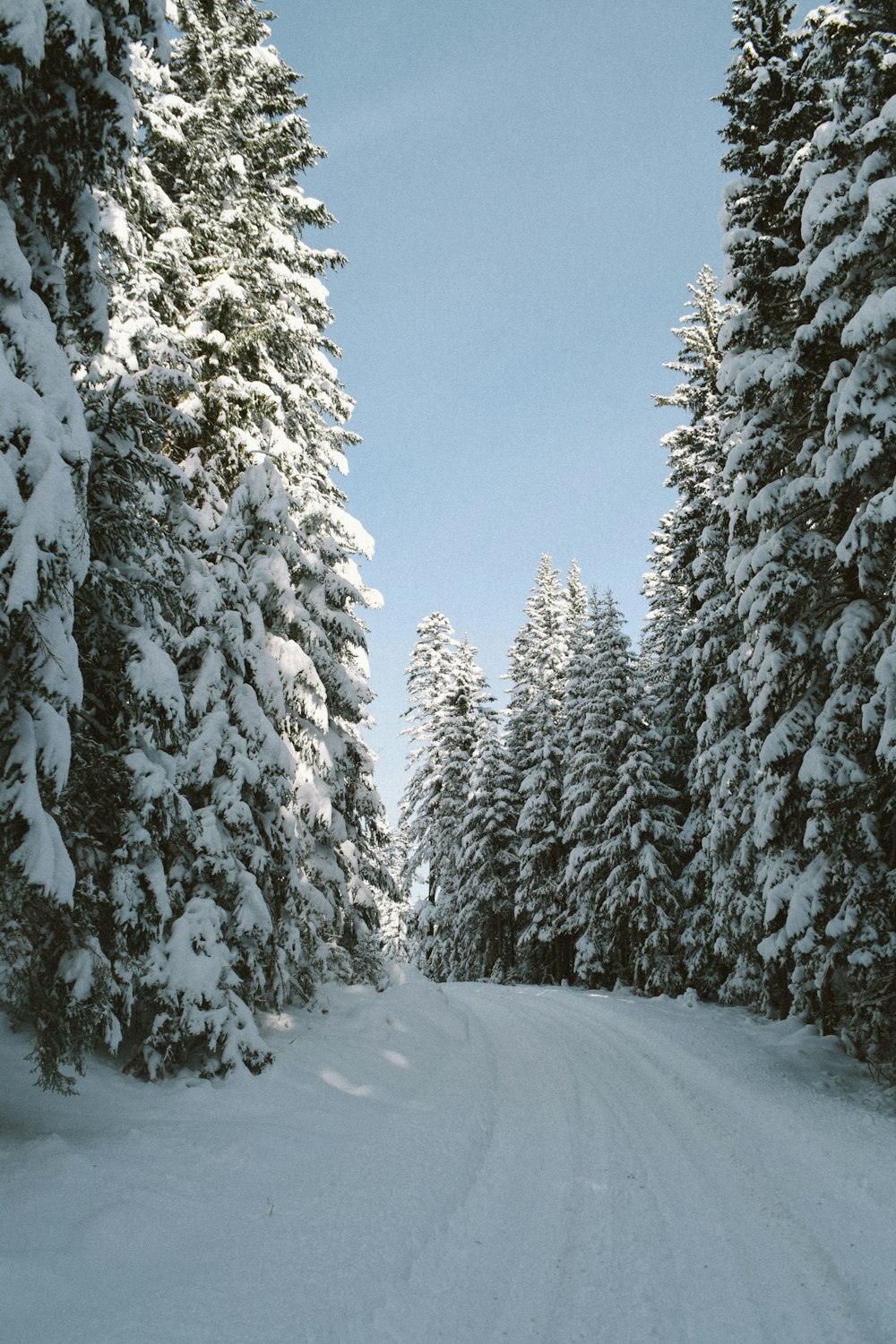 eine Person, die mit Skiern eine schneebedeckte Straße hinunterfährt