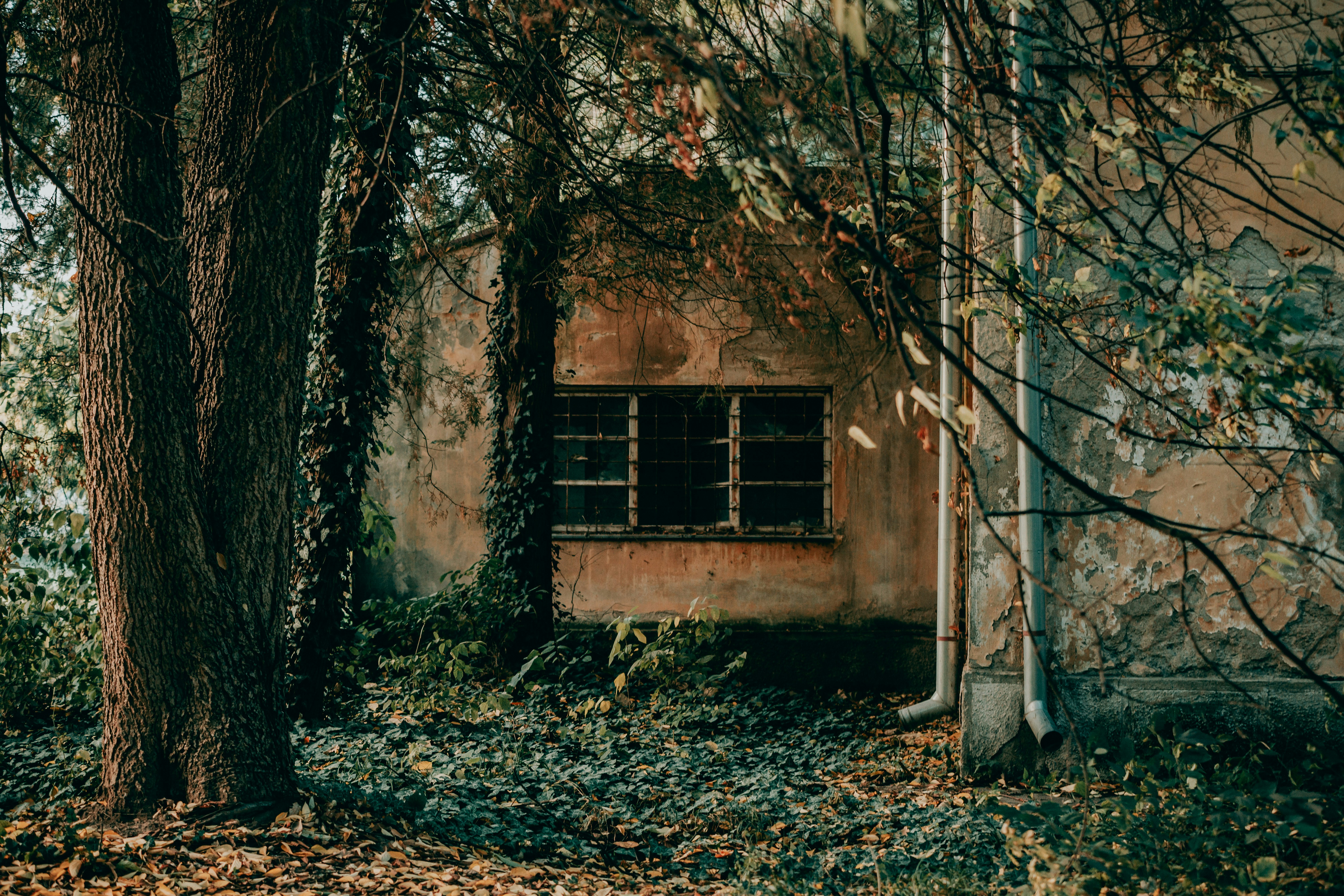 Photo by sylvester_s