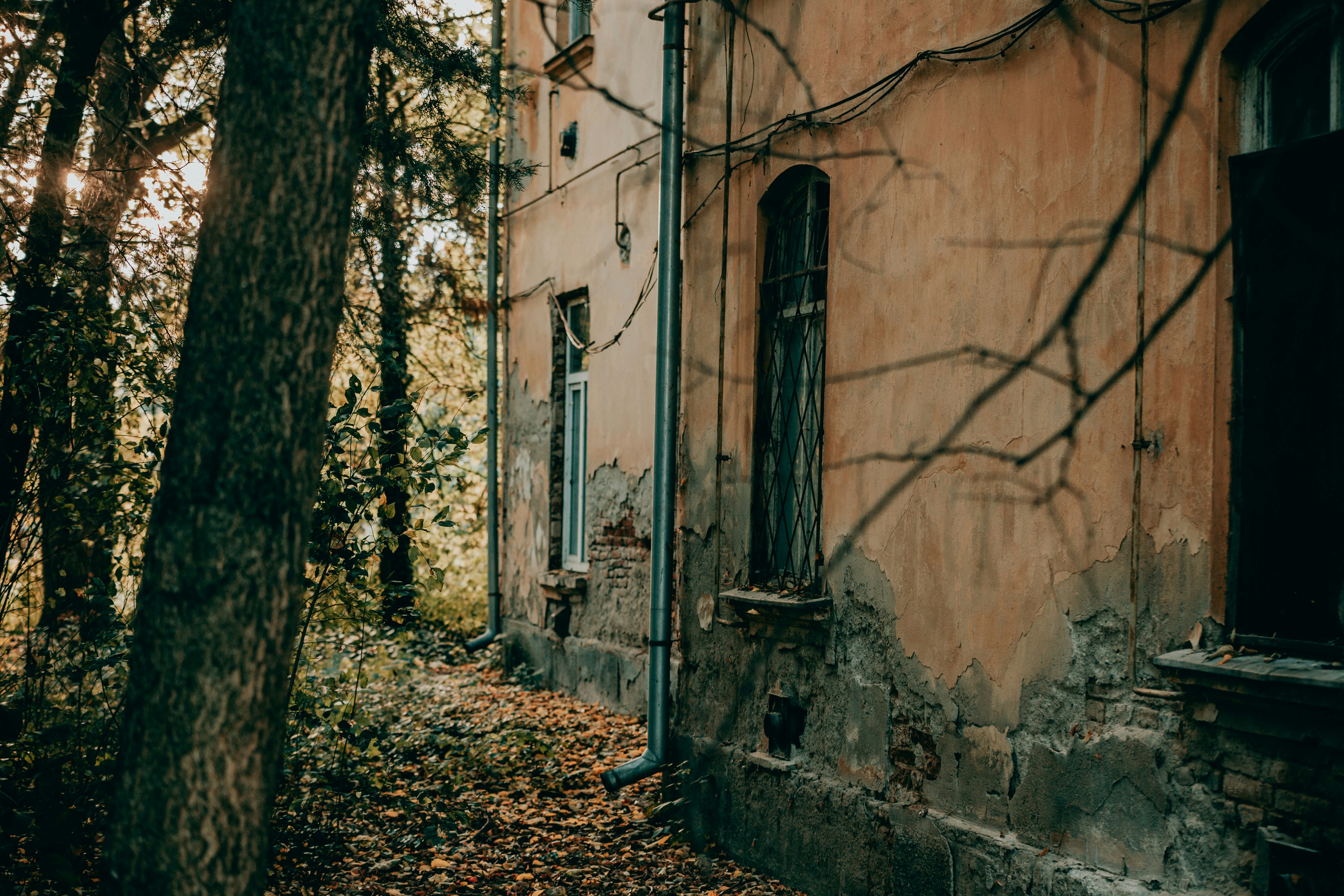 Photo by sylvester_s