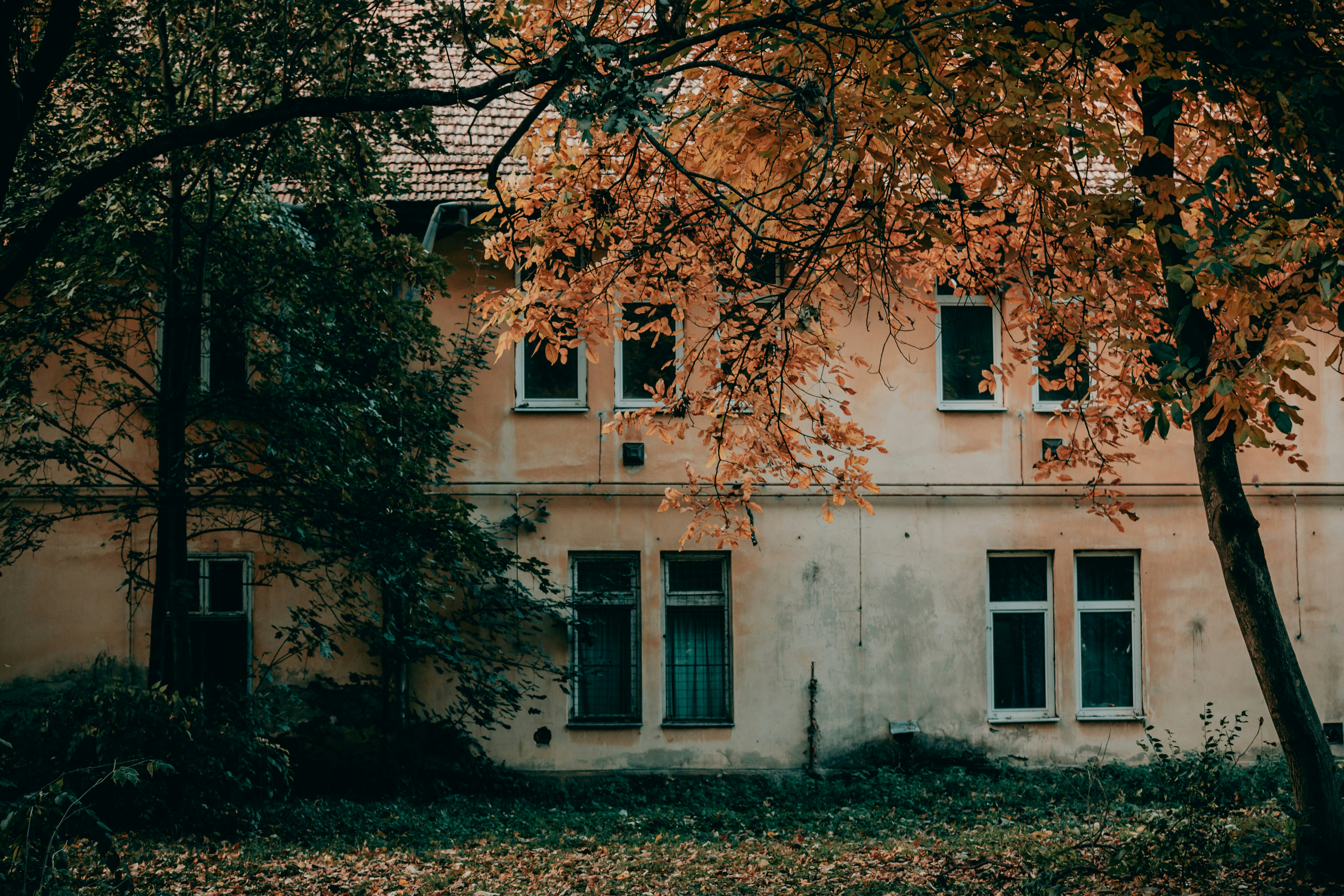 Photo by sylvester_s