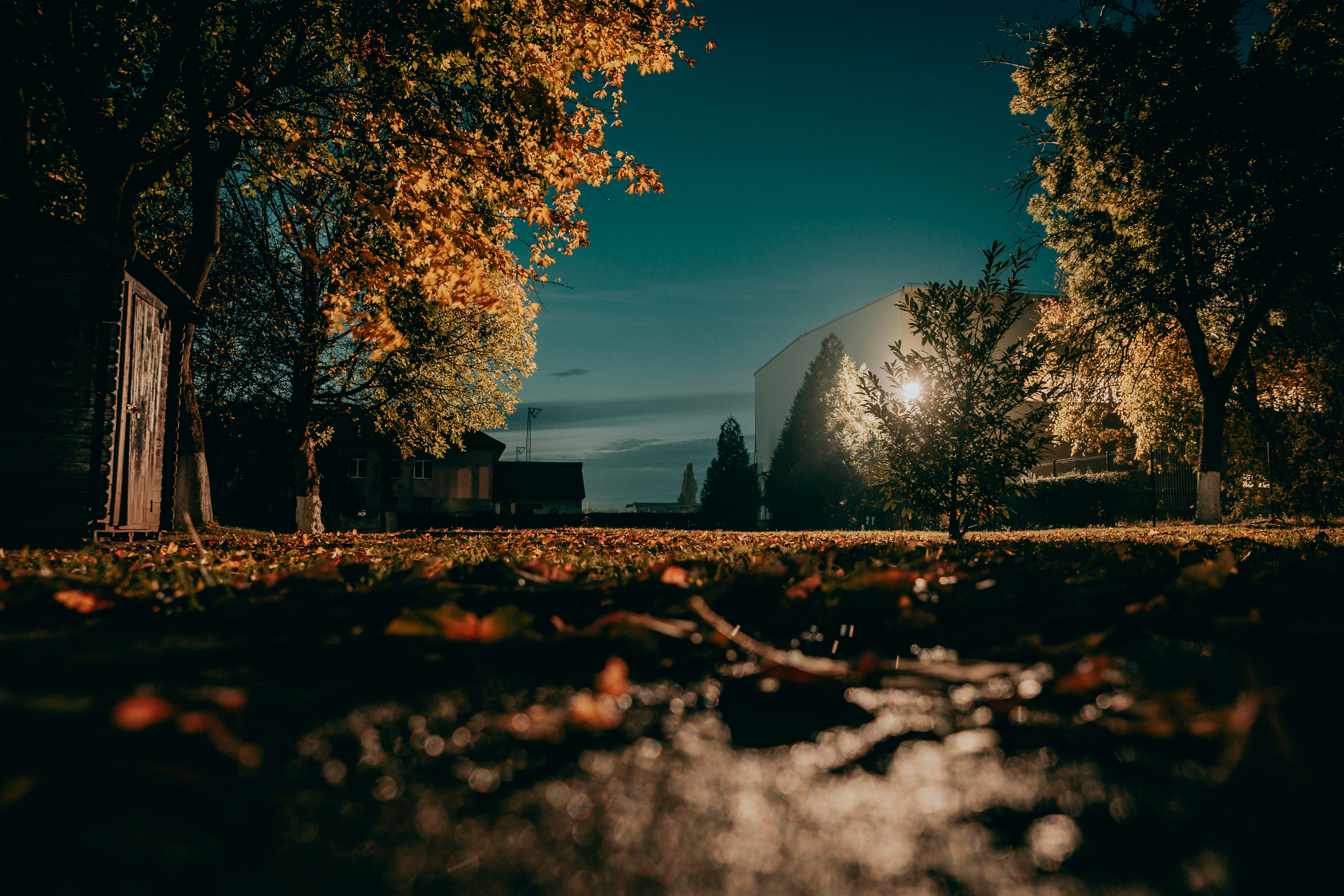 Photo by sylvester_s