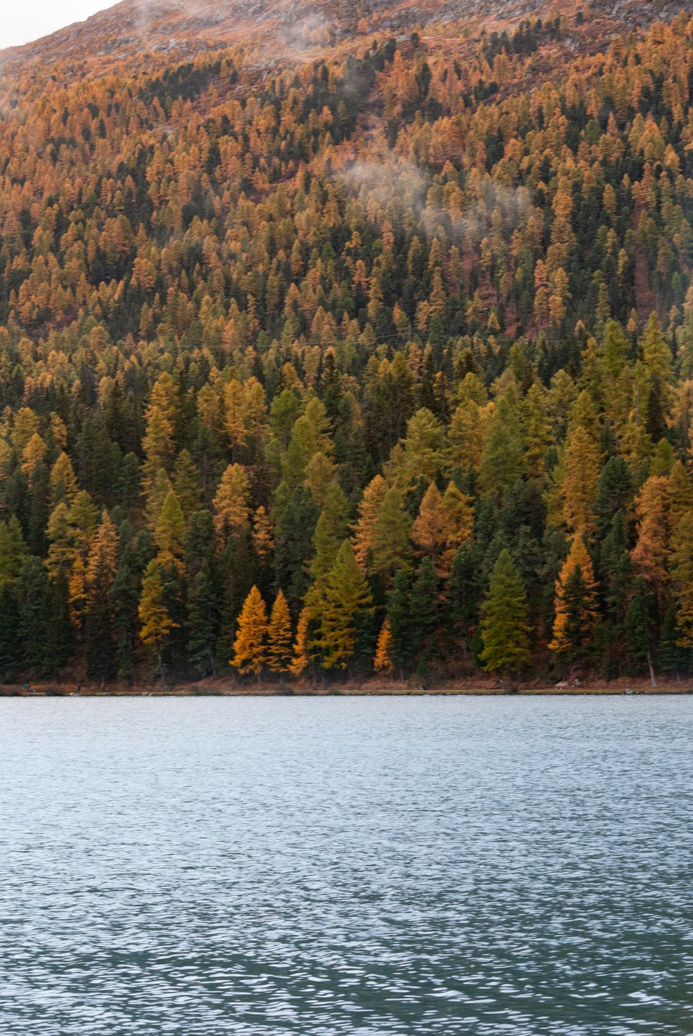 a boat floating on top of a lake next to a forest