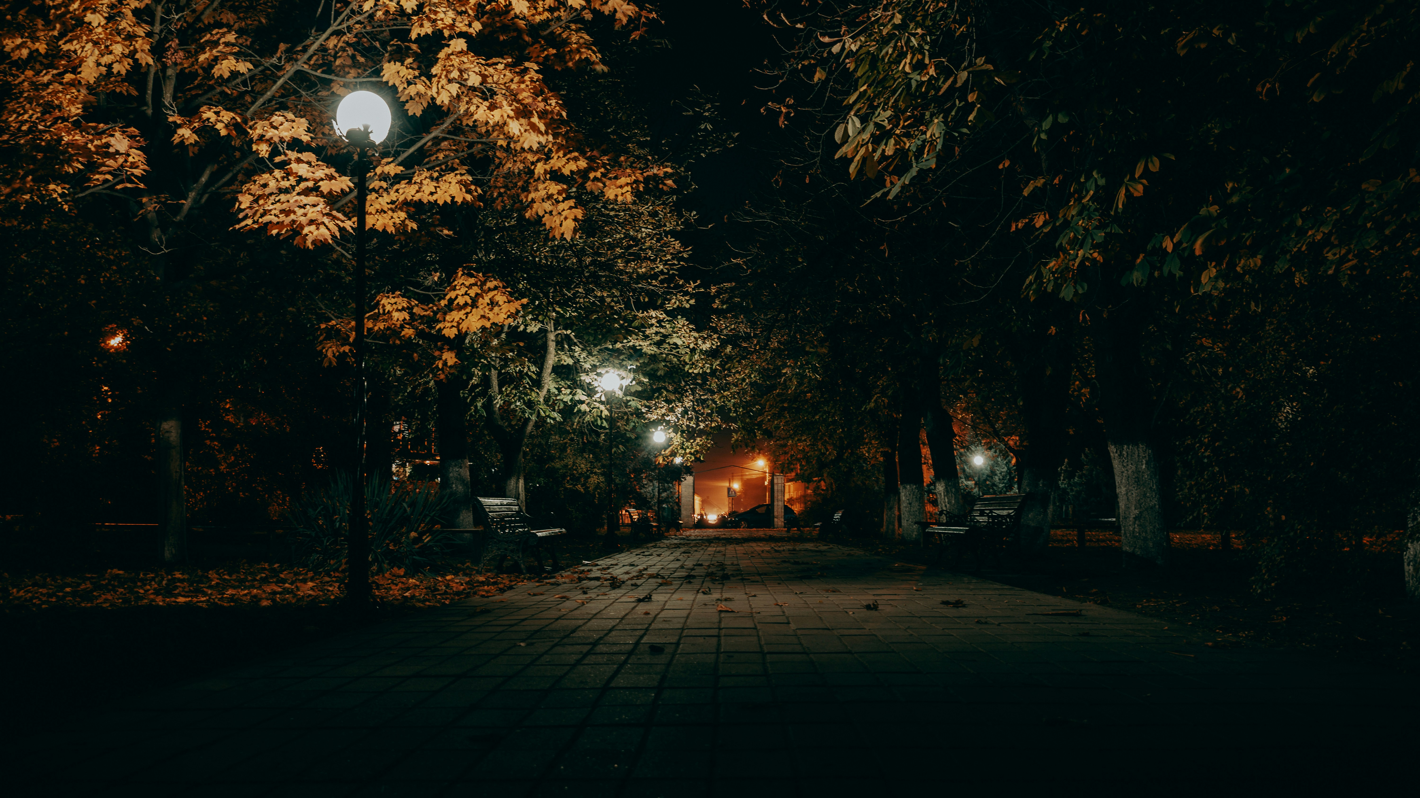 Photo by sylvester_s