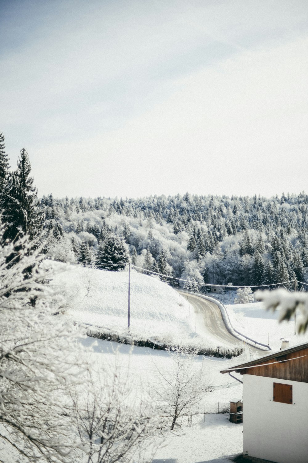 a snowy landscape with a house and trees