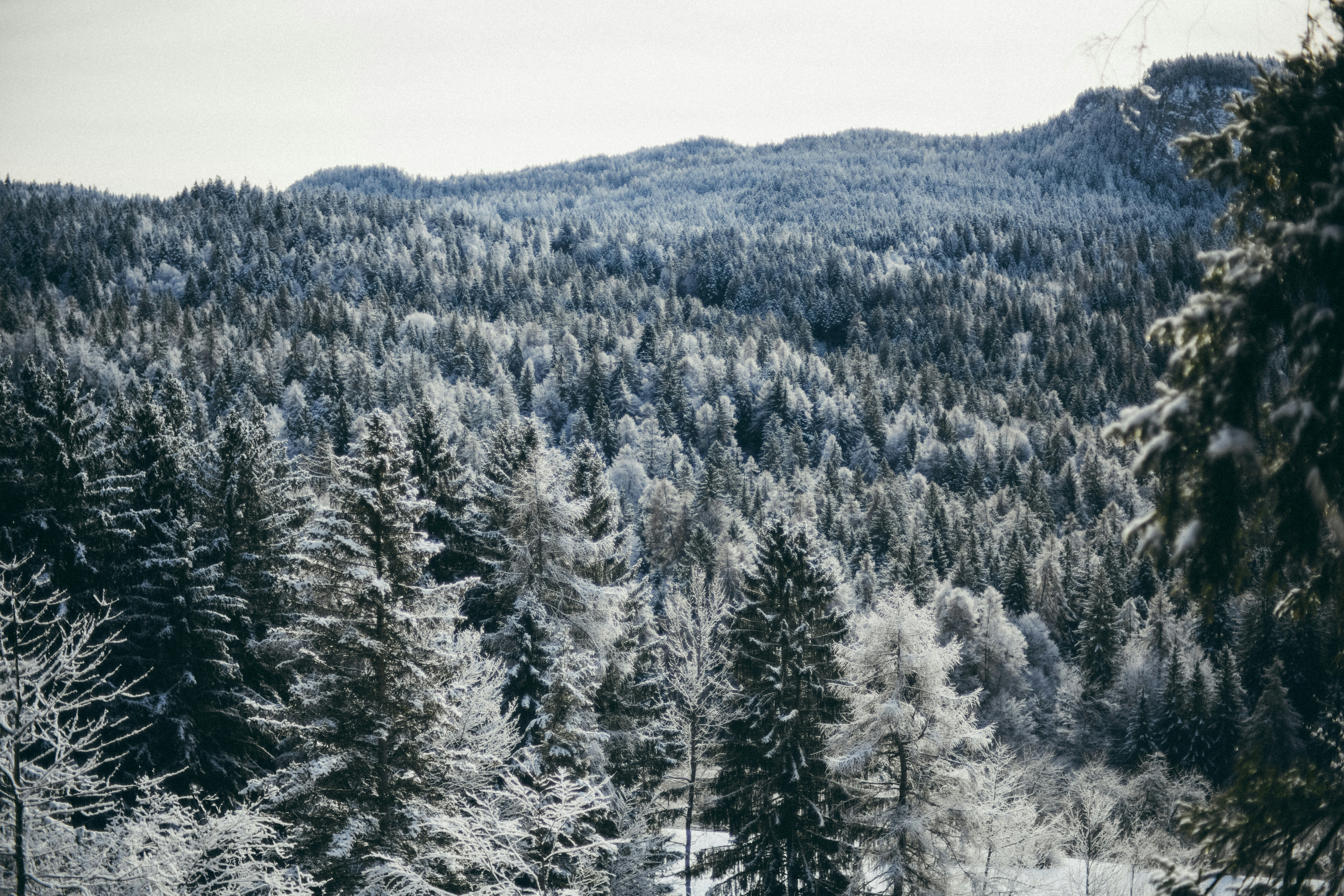 Photo by riccardodicurti