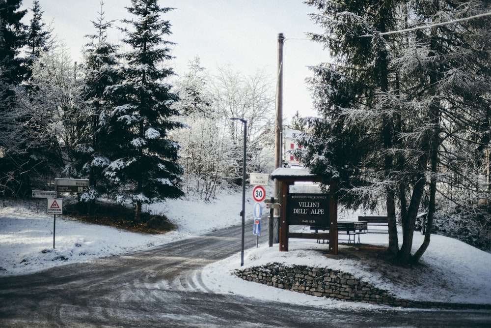 a snowy road with a sign and trees