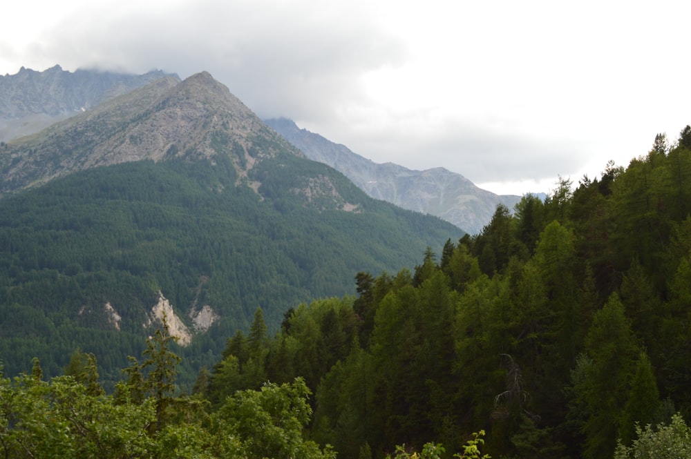 a view of a mountain range with trees and mountains in the background