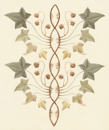 a drawing of a design with leaves and flowers