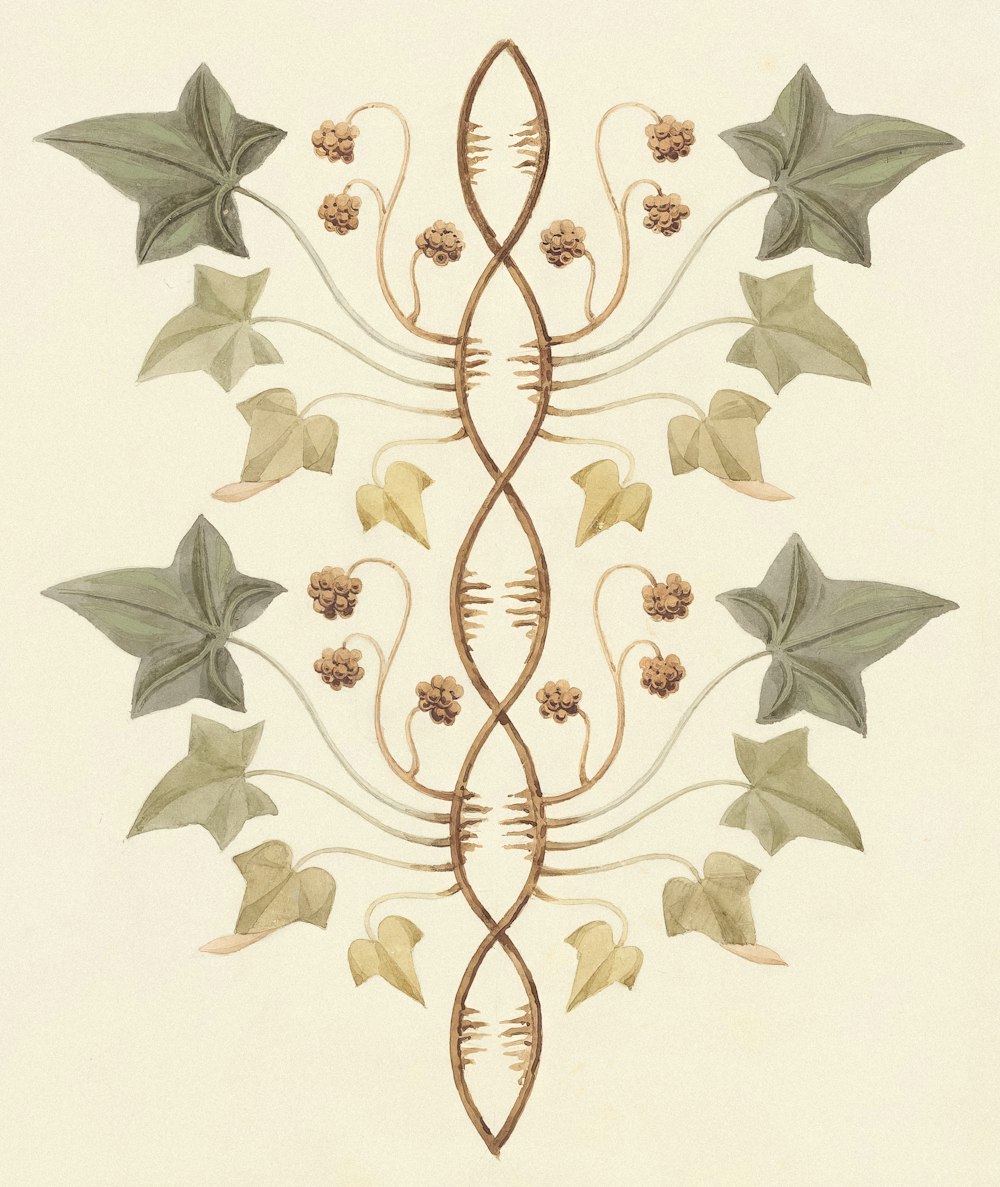 a drawing of a design with leaves and flowers
