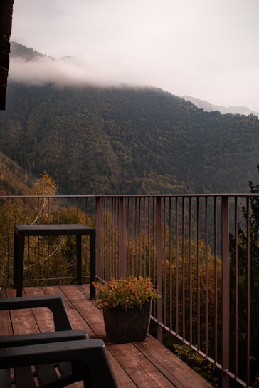 a wooden deck with a potted plant on it