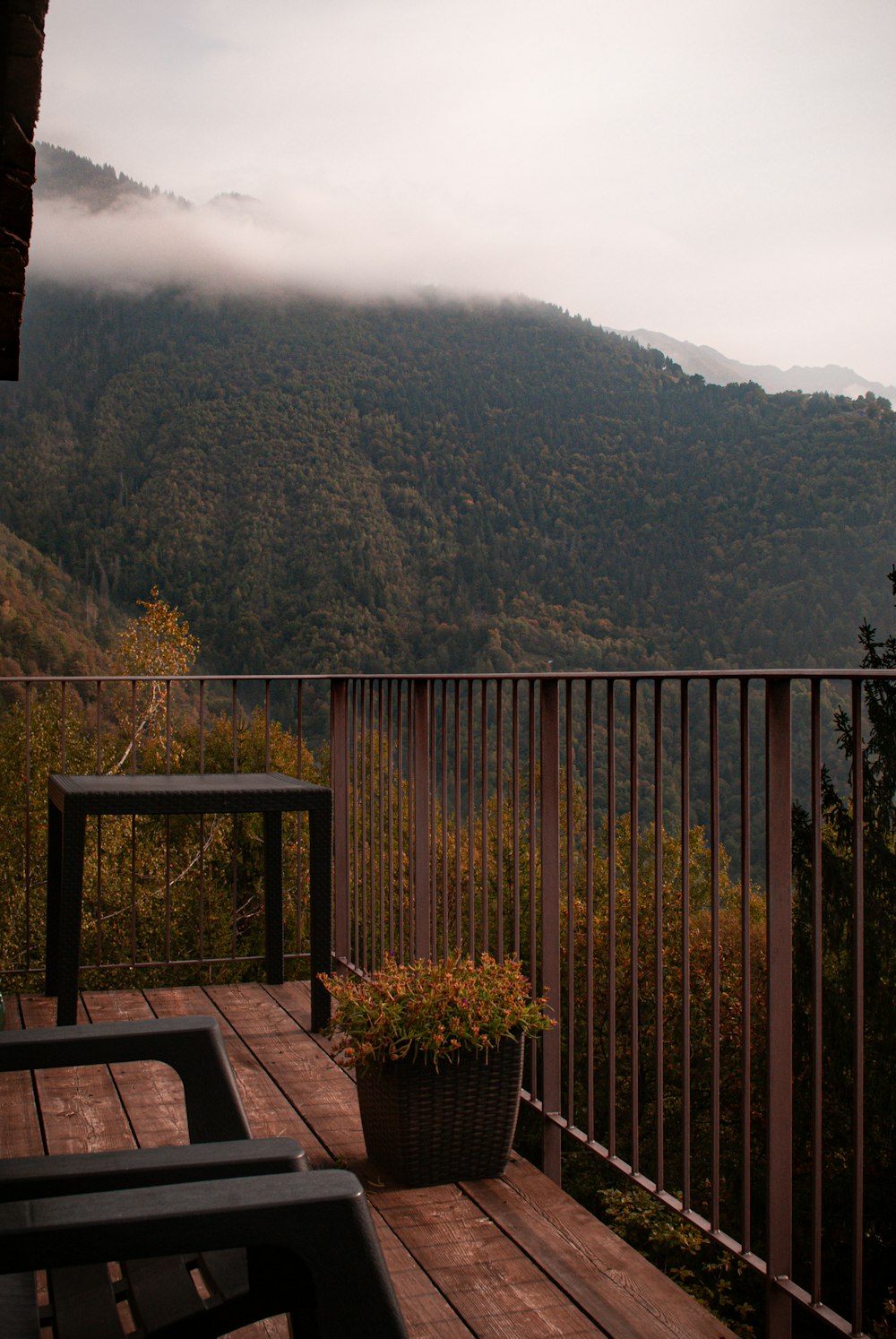 a wooden deck with a potted plant on it