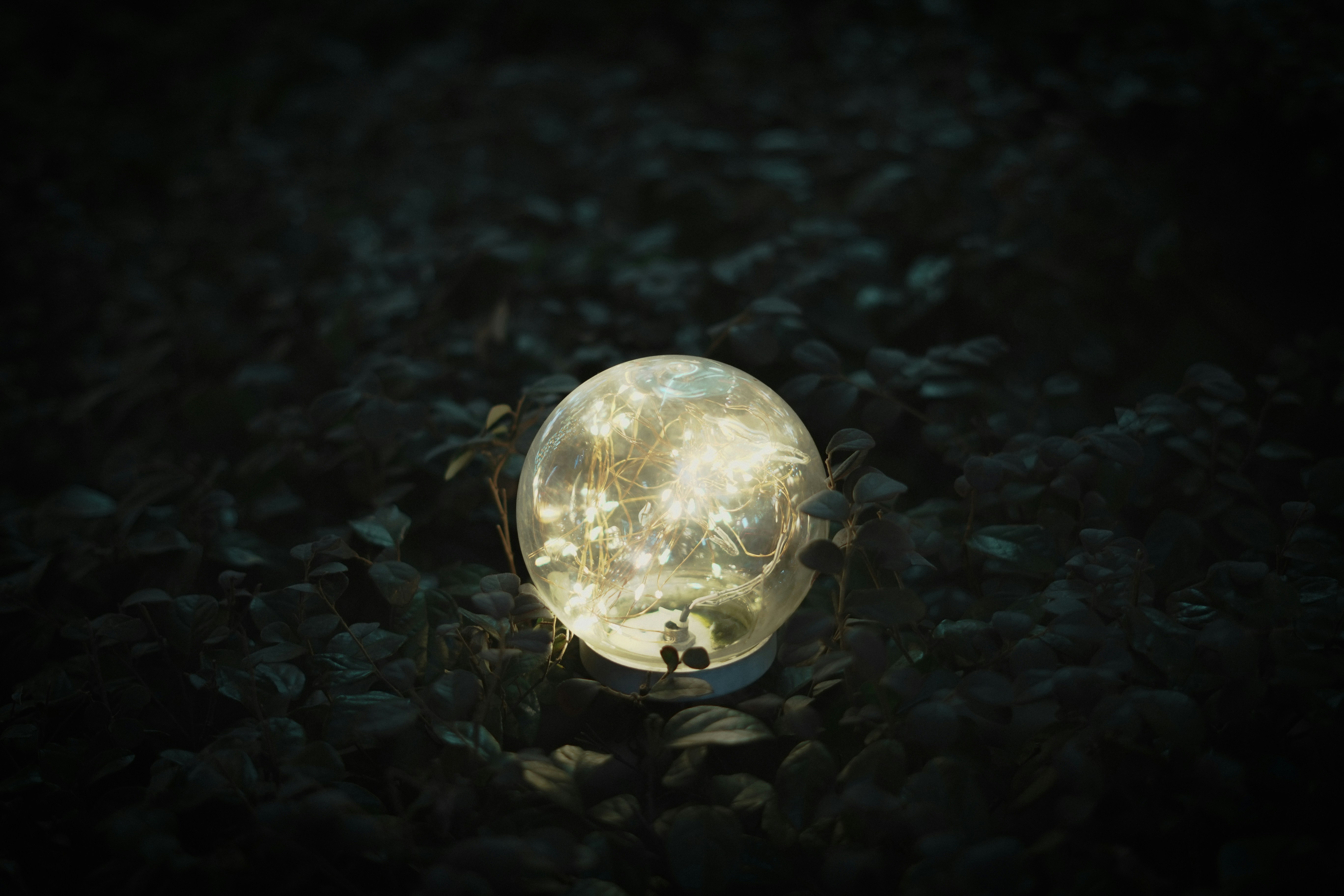 Photo by chriszhang0806