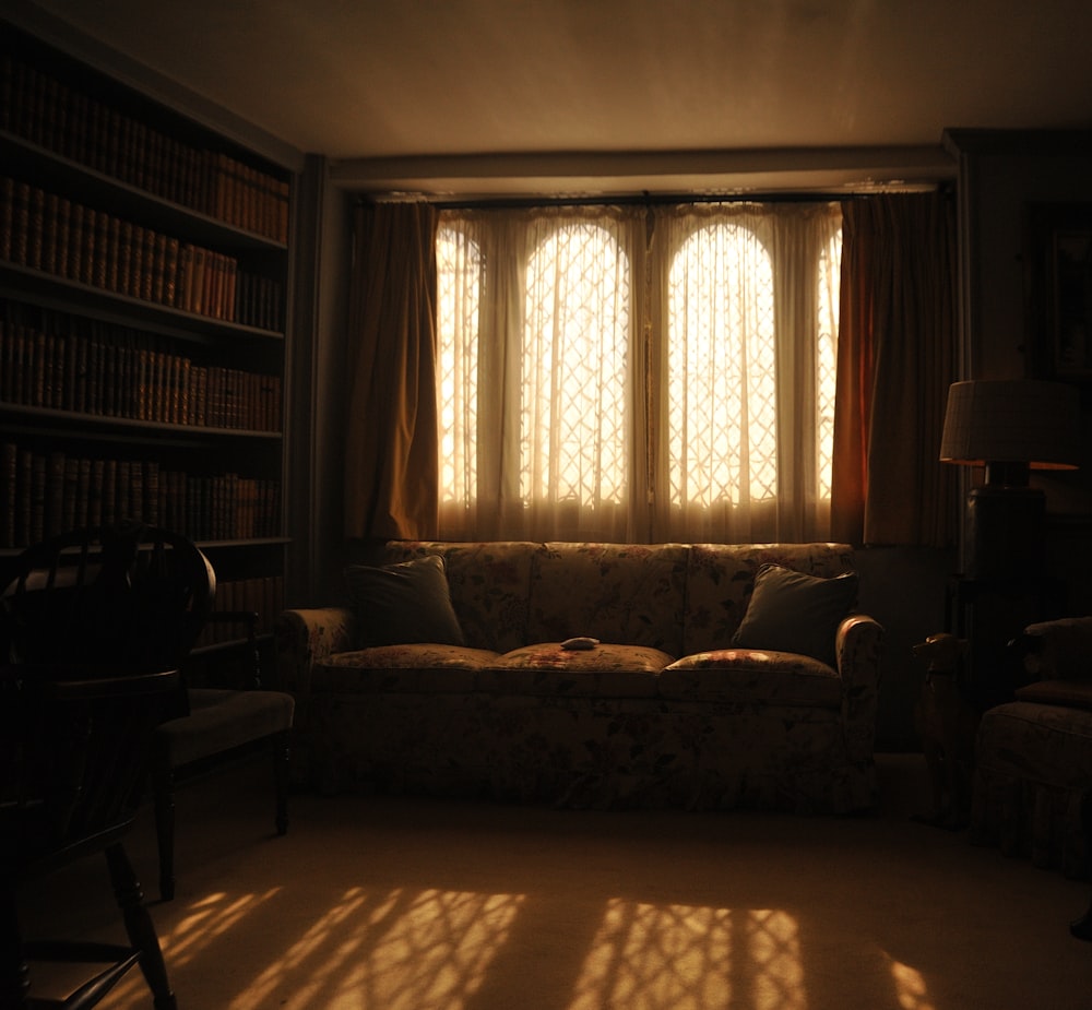 a living room with a couch and a book shelf