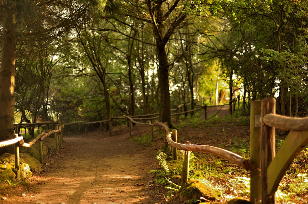 a path in the woods leading to a wooden fence