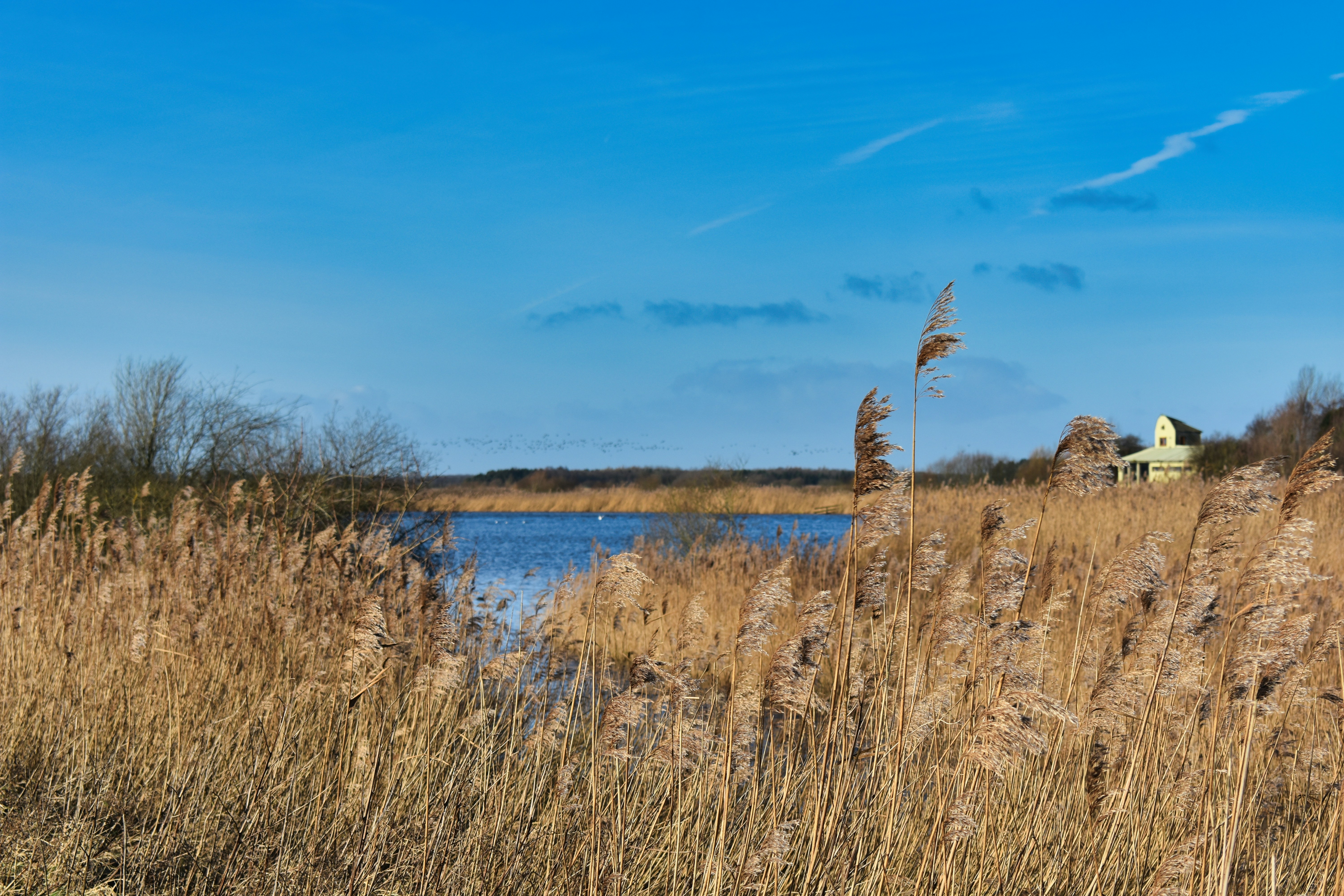 Photo by andrew_hall