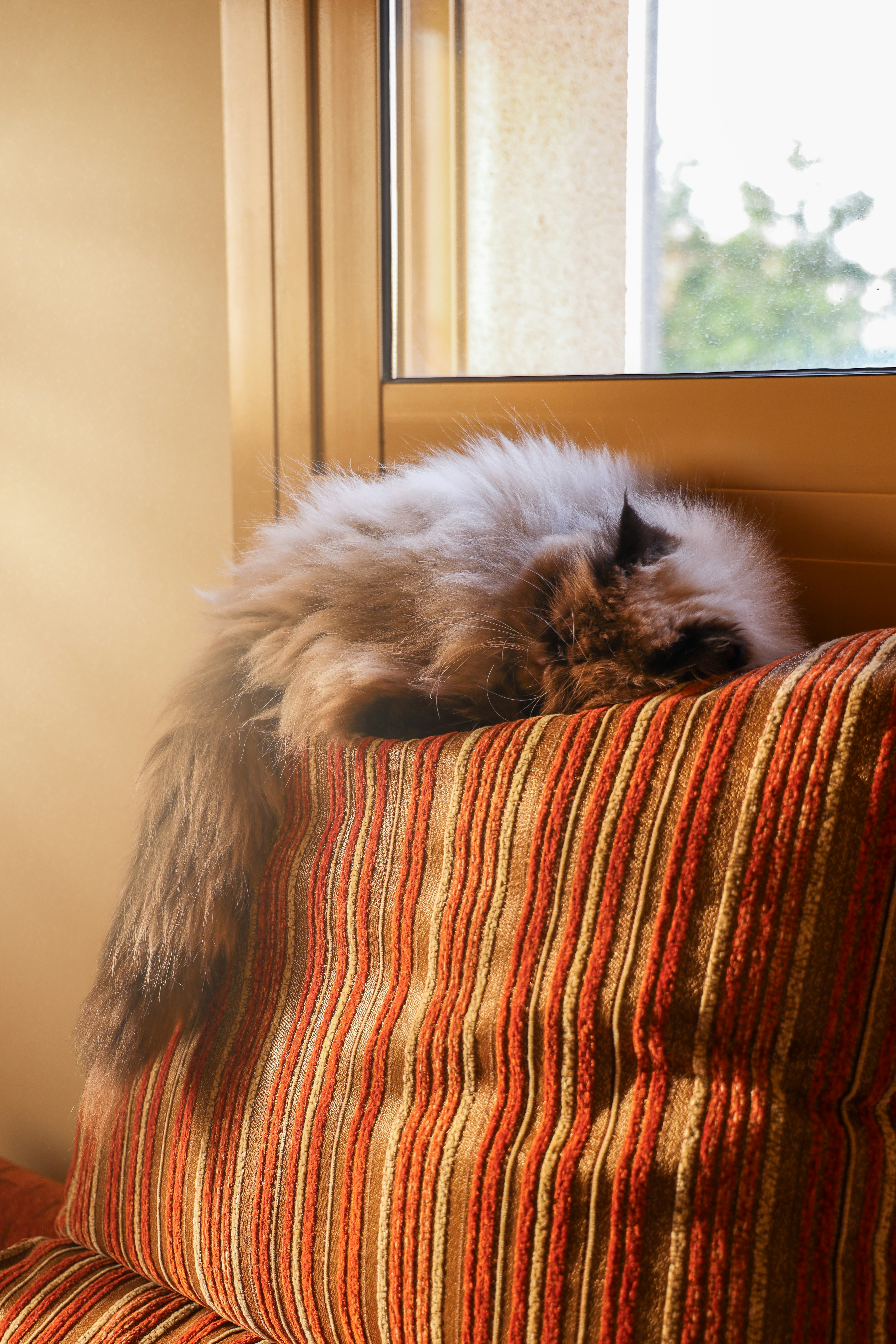 Photo by sci_fi_superfly