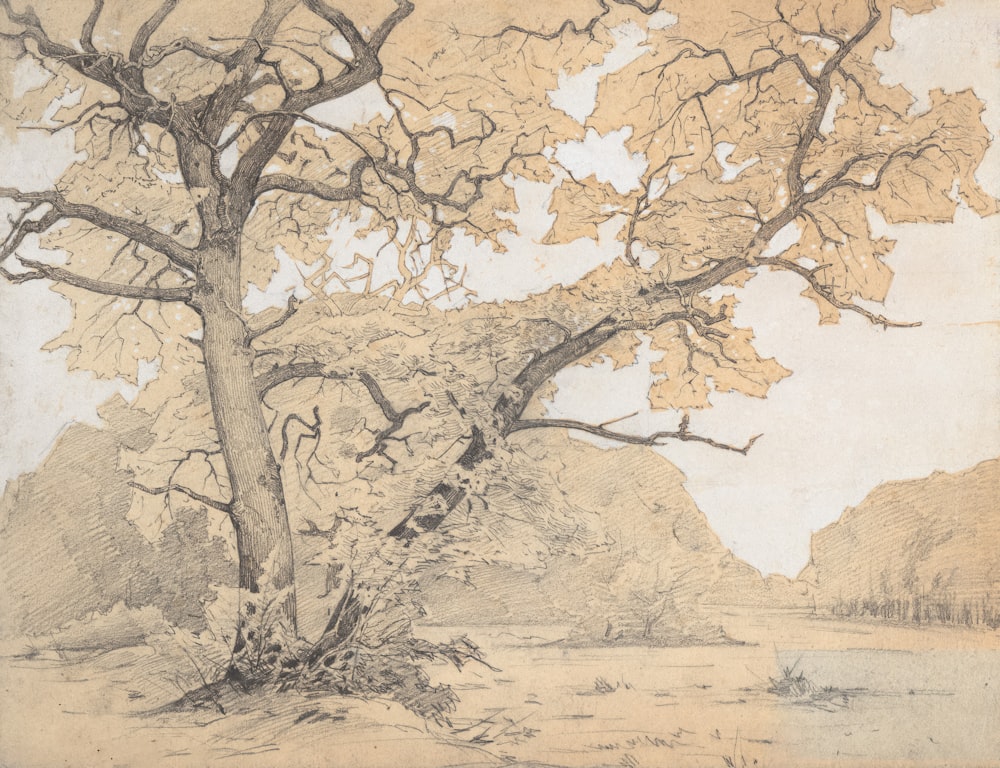 a drawing of a tree in a field