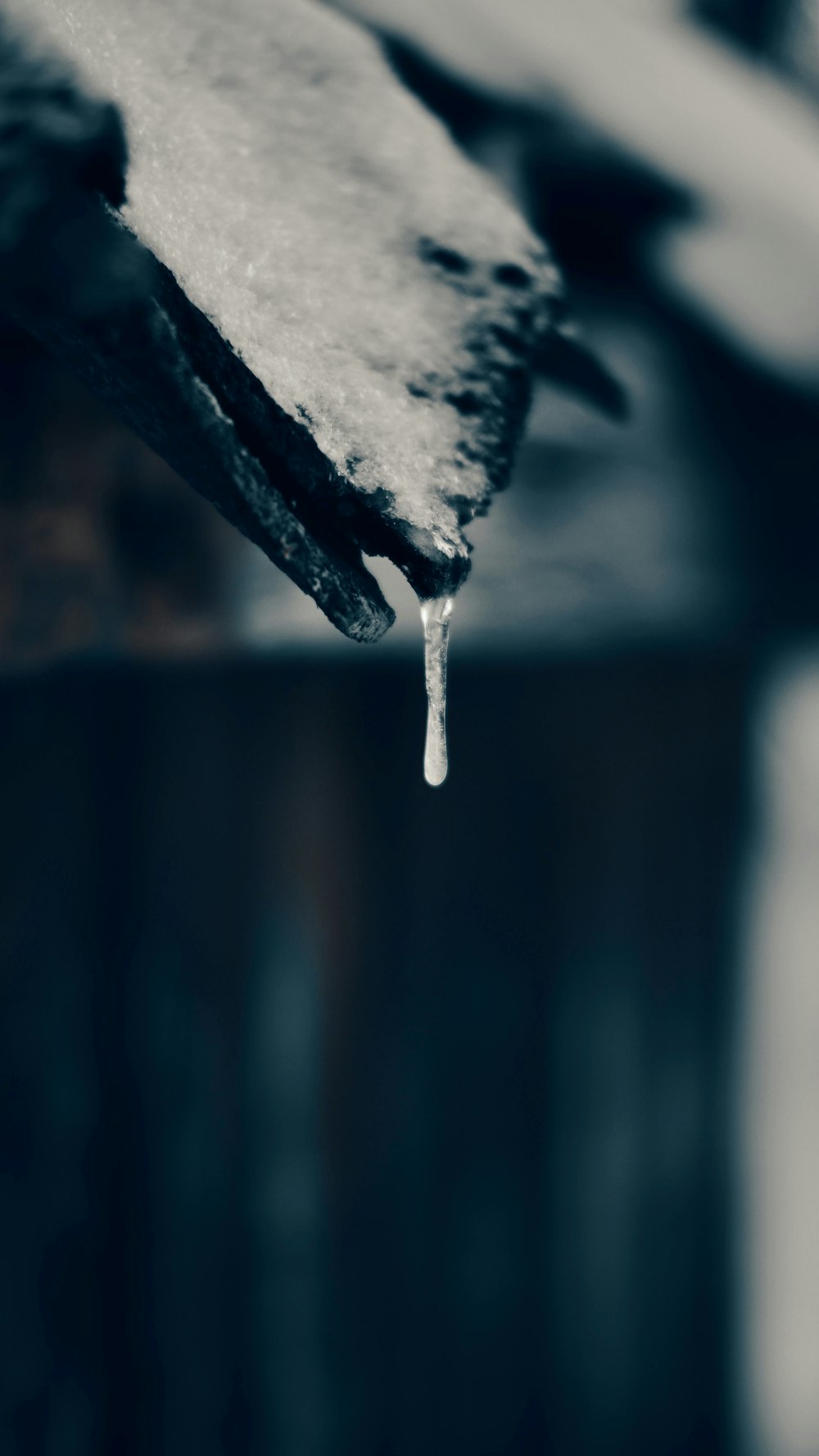 a black and white photo of a snow covered roof