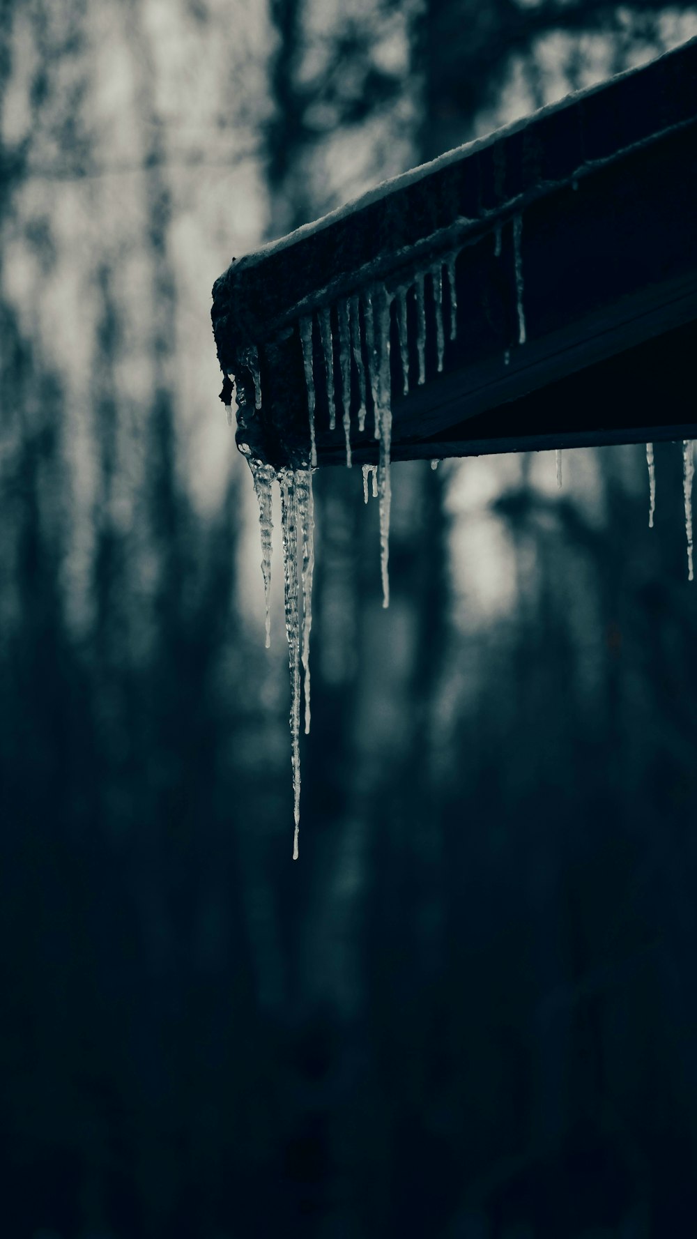 icicles hanging from a gutter gutter gutter gutter gutter gut