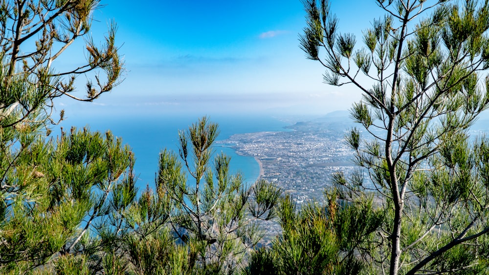 a view of a city and a body of water through some trees