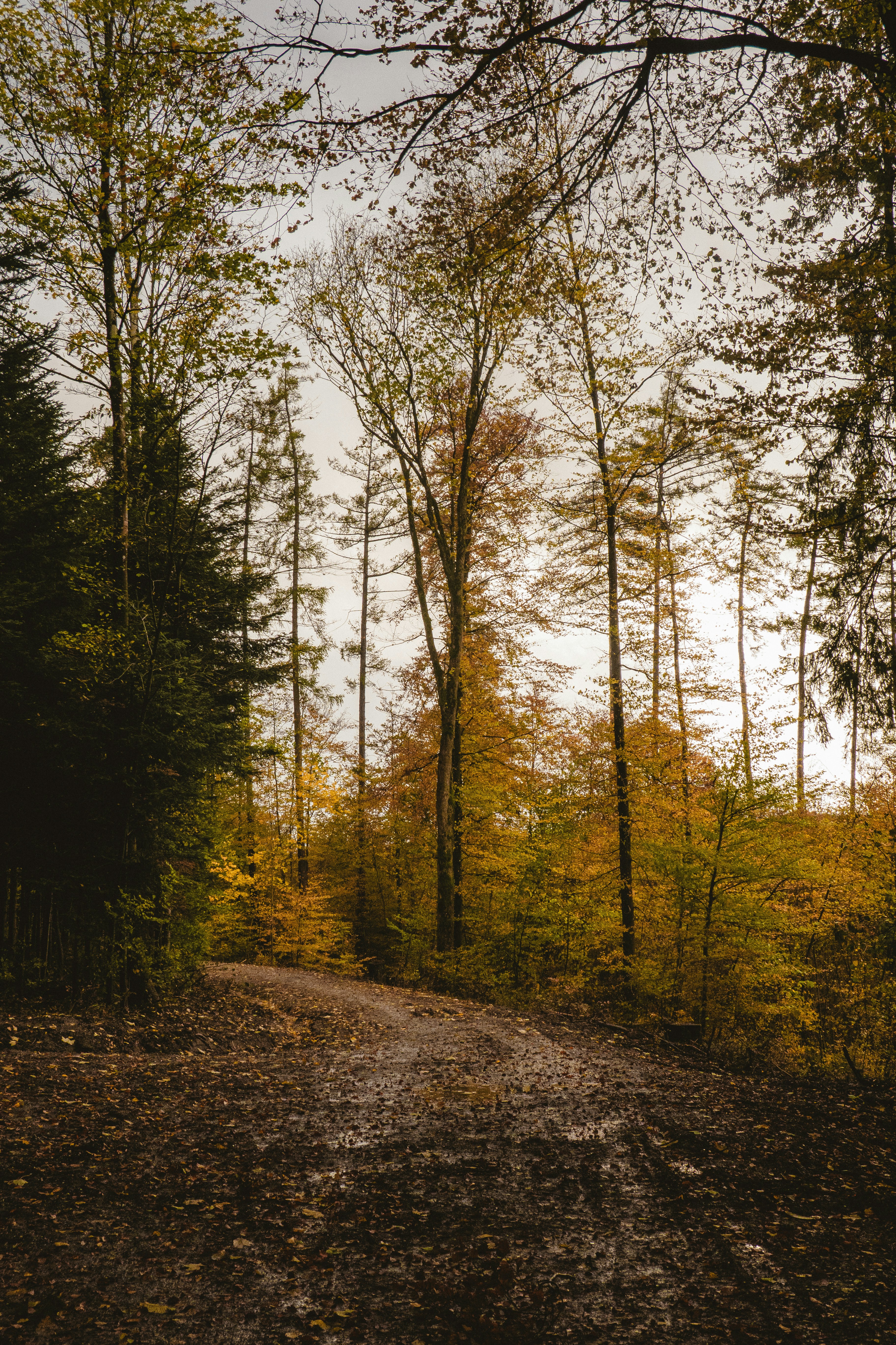 Photo by wheresalina