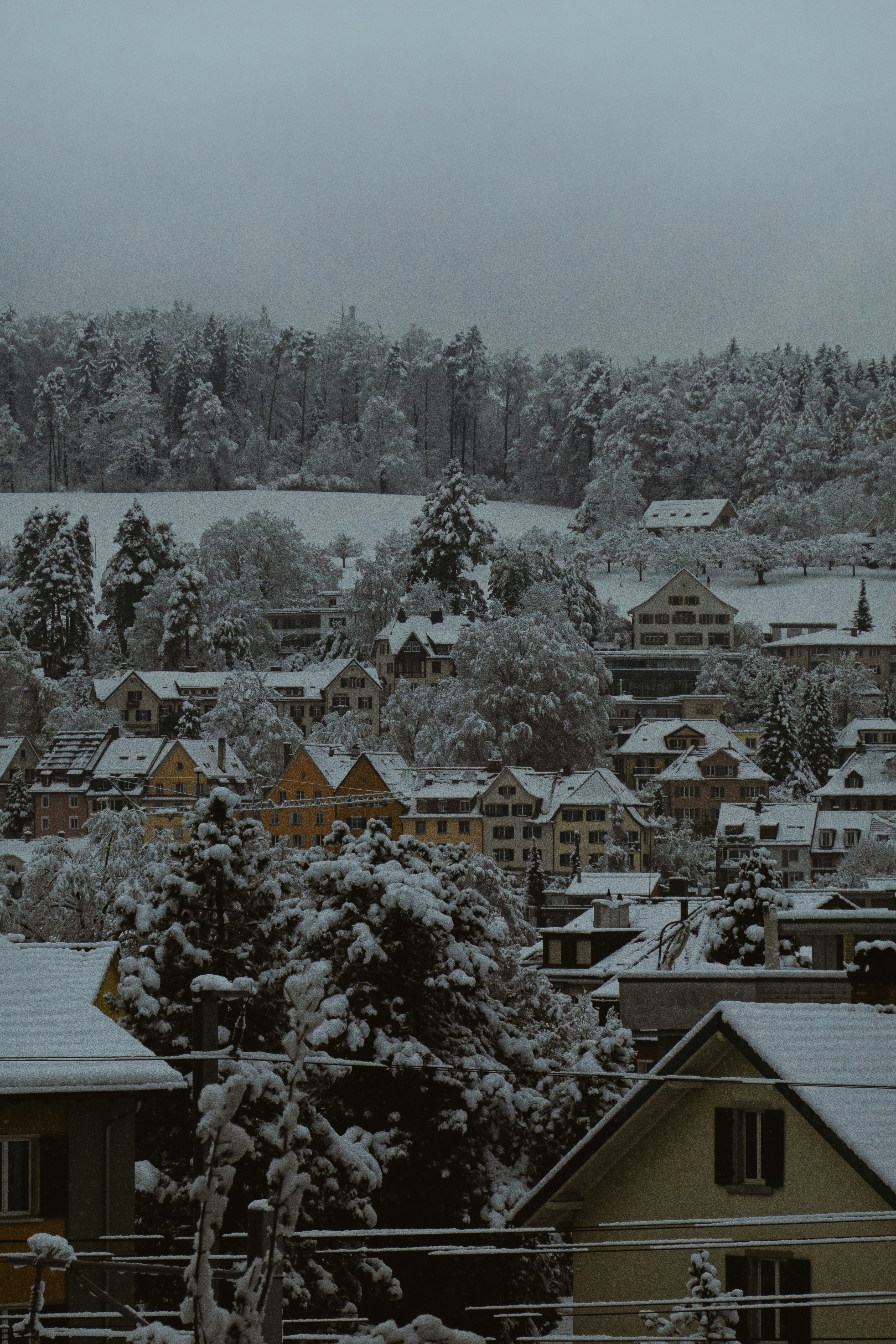 Photo by wheresalina